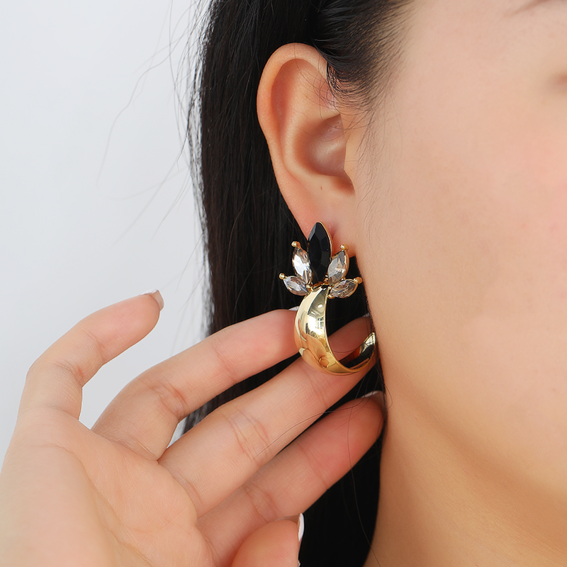 Korean-style light luxury, individual and cold style, InS-style crystal fashion earrings, stud earrings and butterfly accessories Application Scenario