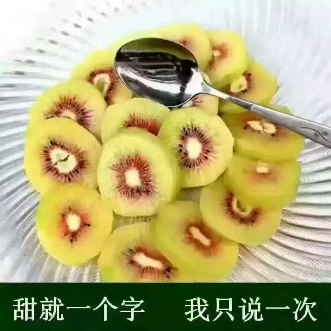 大通农场红心产品图