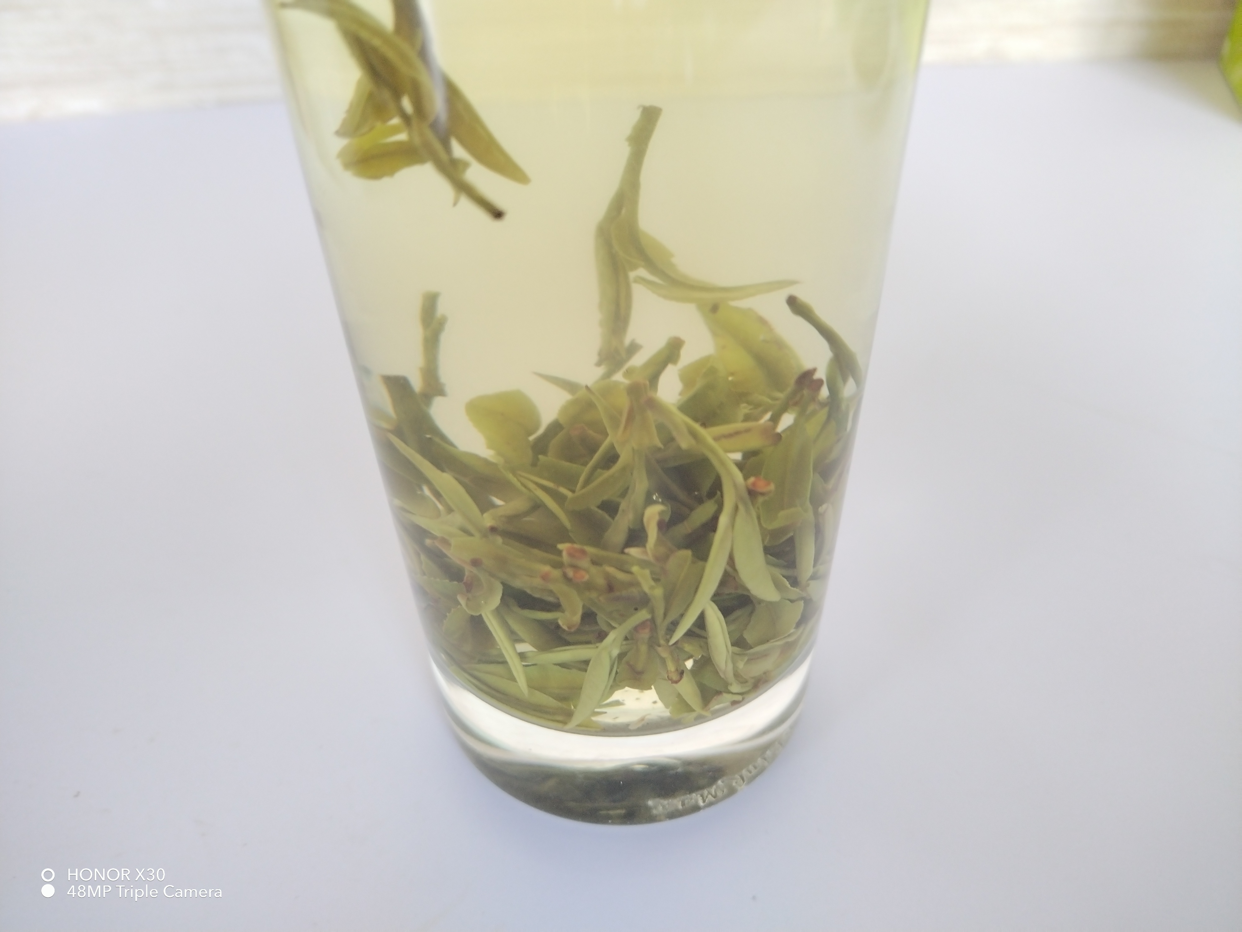 茶叶/绿茶/礼品茶白底实物图