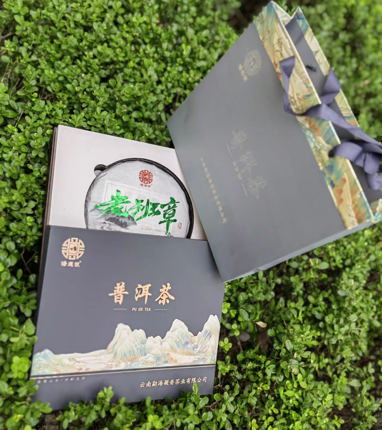 普洱茶/茶叶/茶具白底实物图