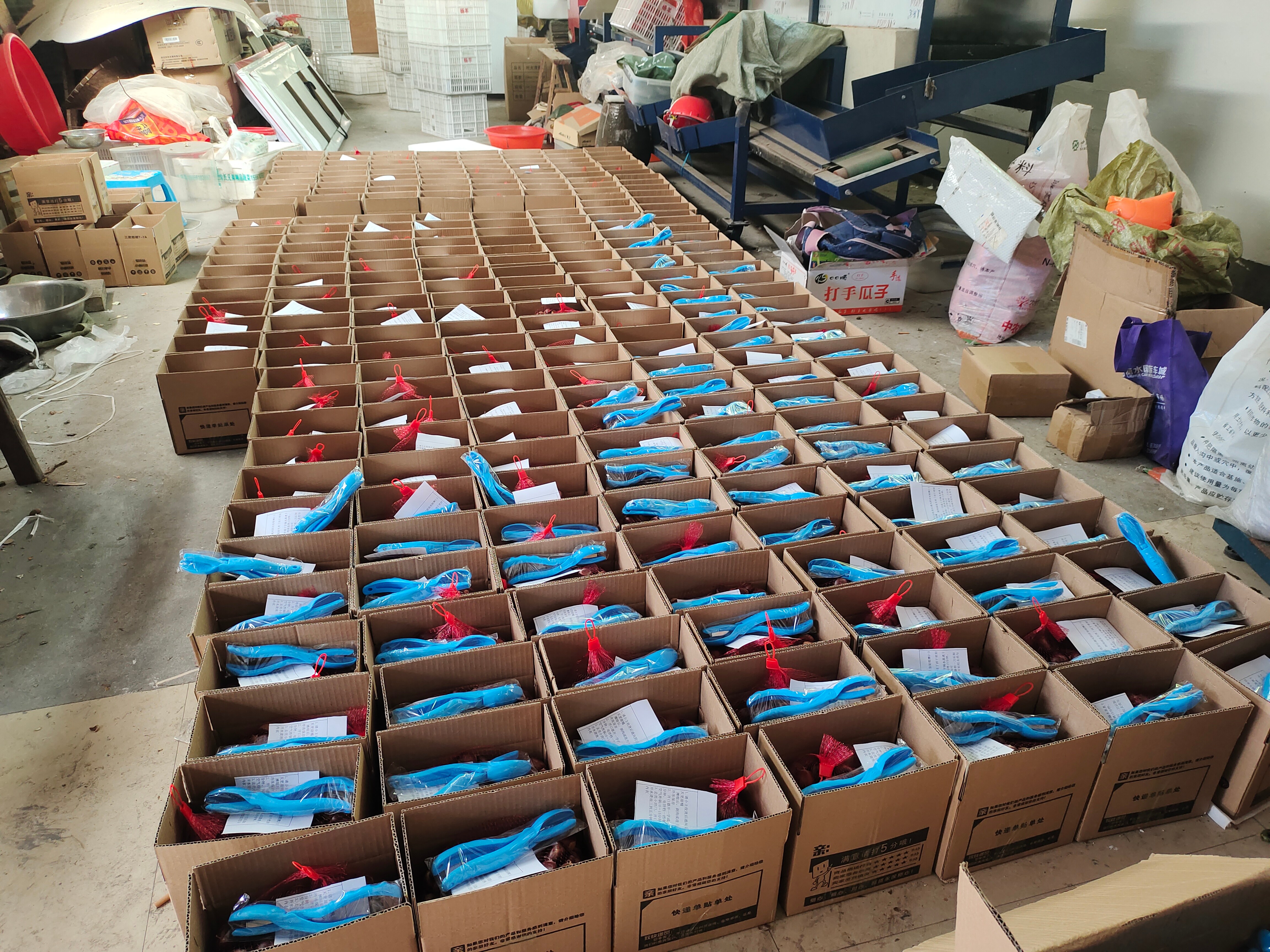 遂昌/高海拔/新鲜白底实物图