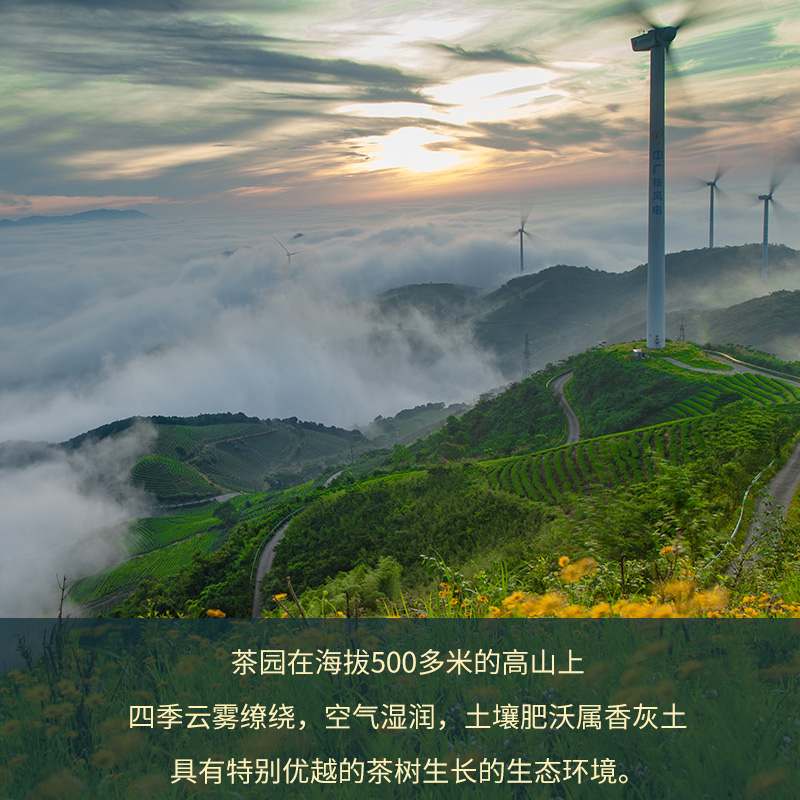茶产品图