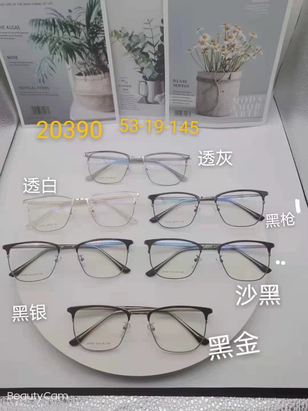 Fashionable new optical frame 2