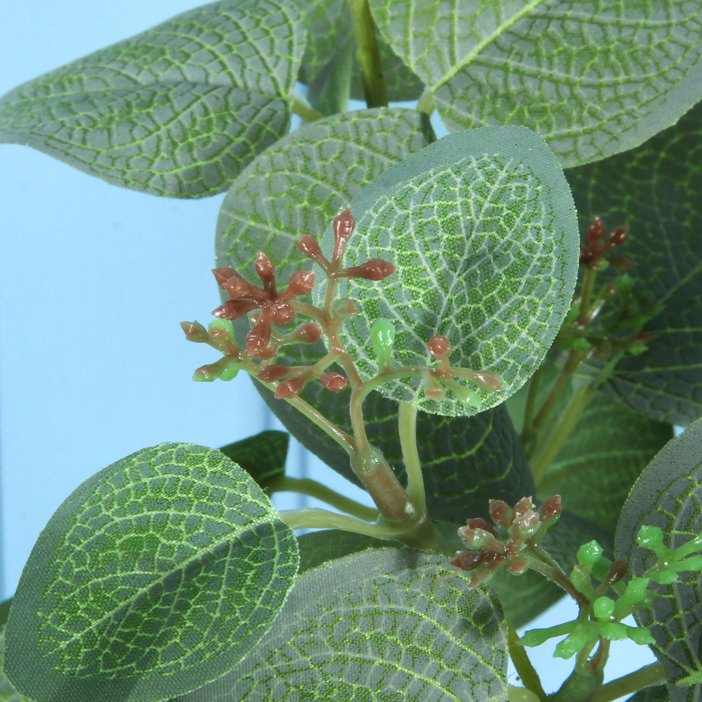 Artificial plant eucalyptus with fruit-bearing money leaves, wedding and home decoration materials, green plants, flower arrangements, potted plants, artificial eucalyptus money leaves, artificial green leaves, engineering decoration, foreign trade Specification image