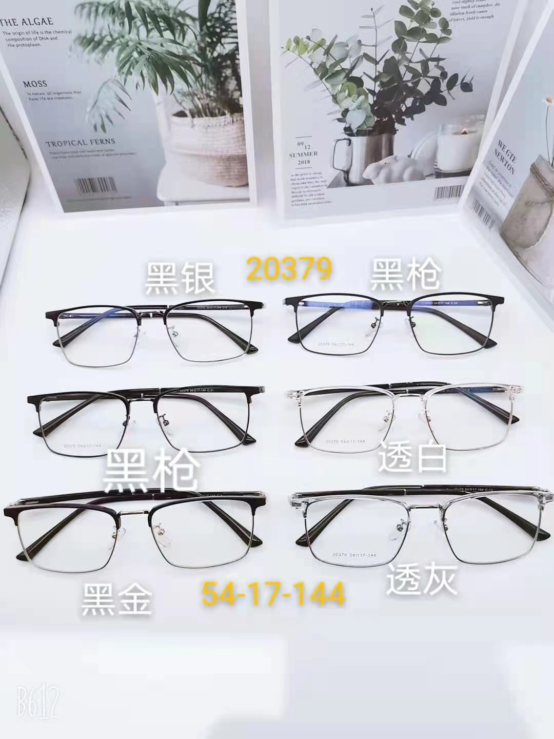 Fashionable metal optical Frame 1