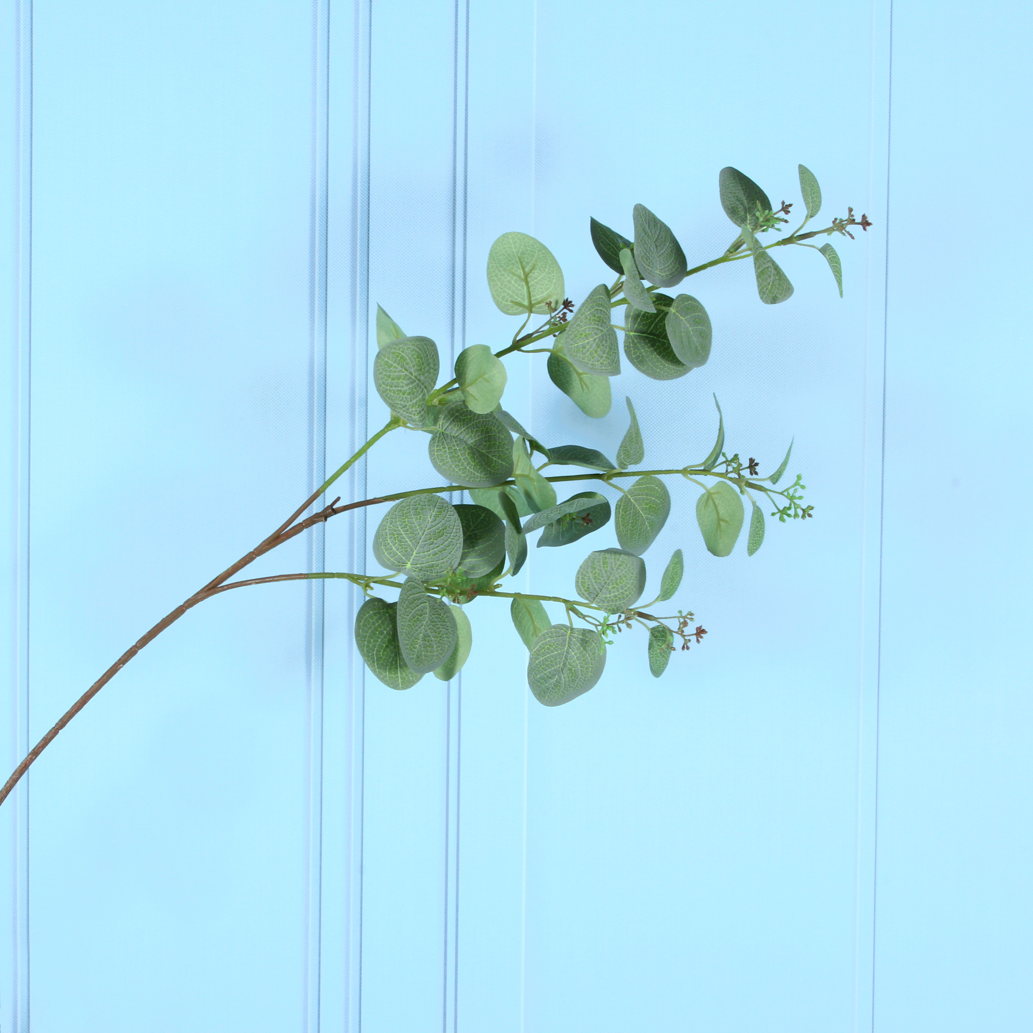 Artificial plant eucalyptus with fruit-bearing money leaves, wedding and home decoration materials, green plants, flower arrangements, potted plants, artificial eucalyptus money leaves, artificial green leaves, engineering decoration, foreign trade details Picture