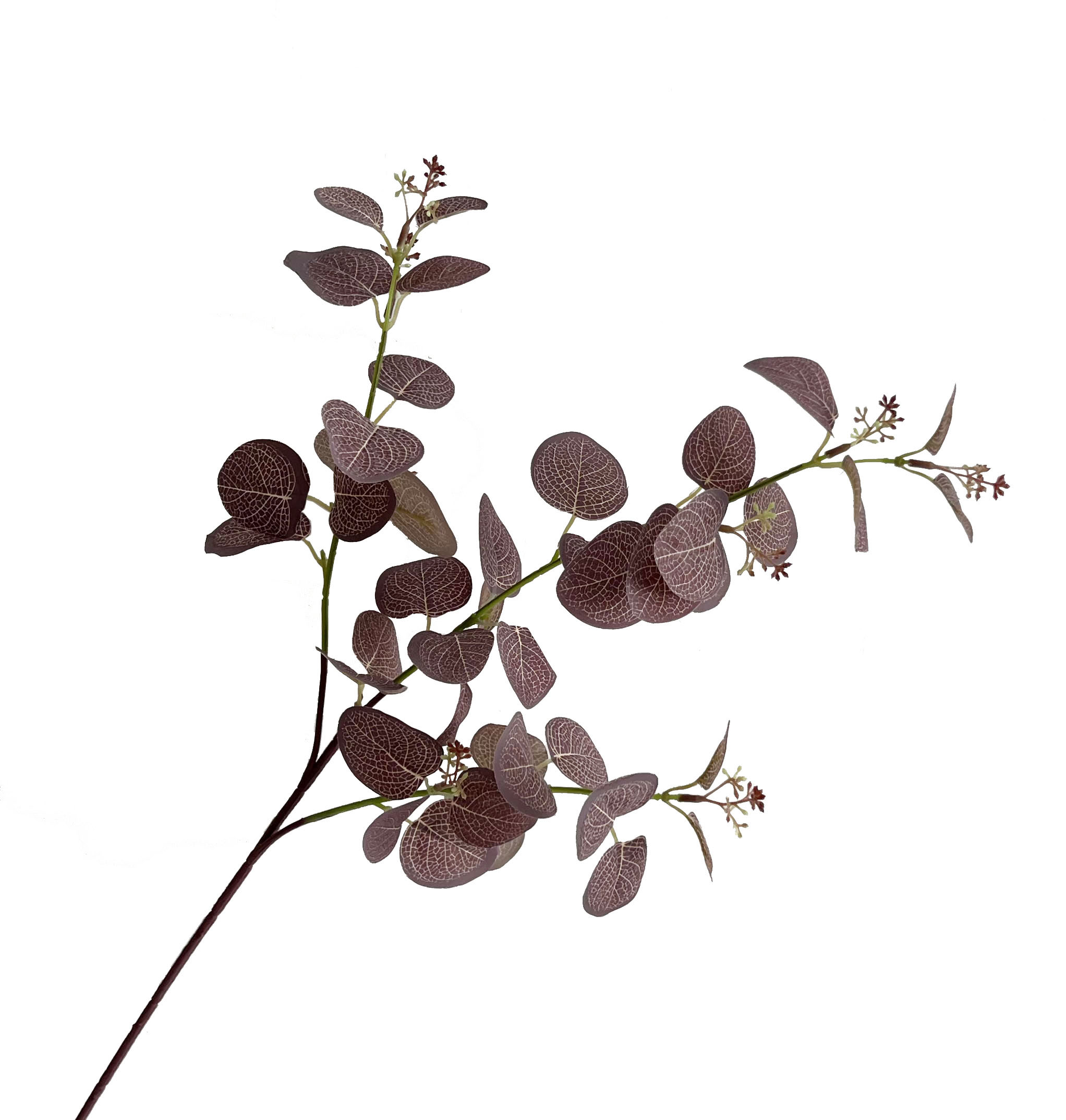 Artificial plant eucalyptus with fruit-bearing money leaves, wedding and home decoration materials, green plants, flower arrangements, potted plants, artificial eucalyptus money leaves, artificial green leaves, engineering decoration, foreign trade Application Scenario
