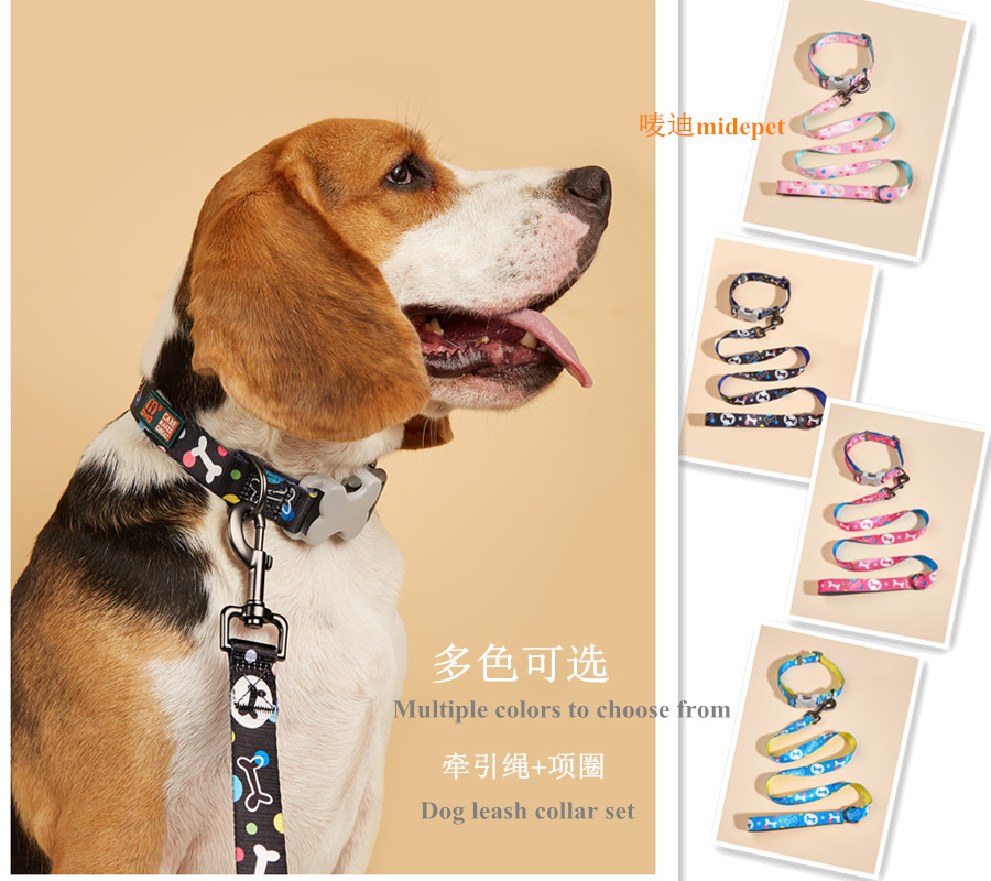 Bestseller dog leash collar set of two pieces, classic bone print large and medium-sized dog leash
