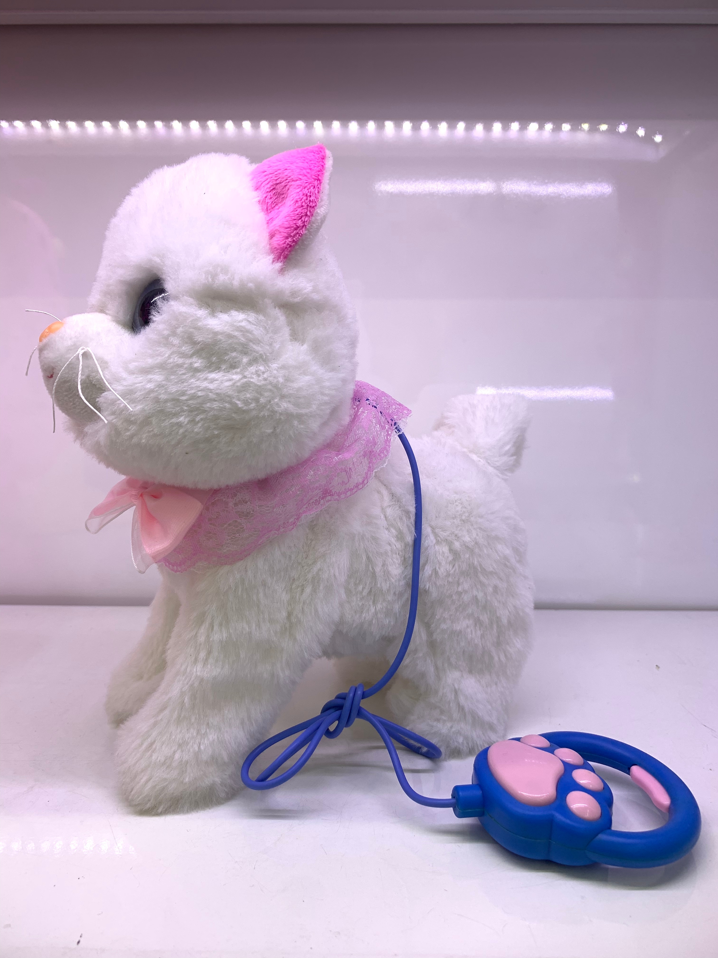 Juguetes de hengxin juguetes para niños juguetes de peluche juguetes de gato bouncy caminando cantando sacudiendo la cola emulación juguete eléctrico 01 Application Scenario