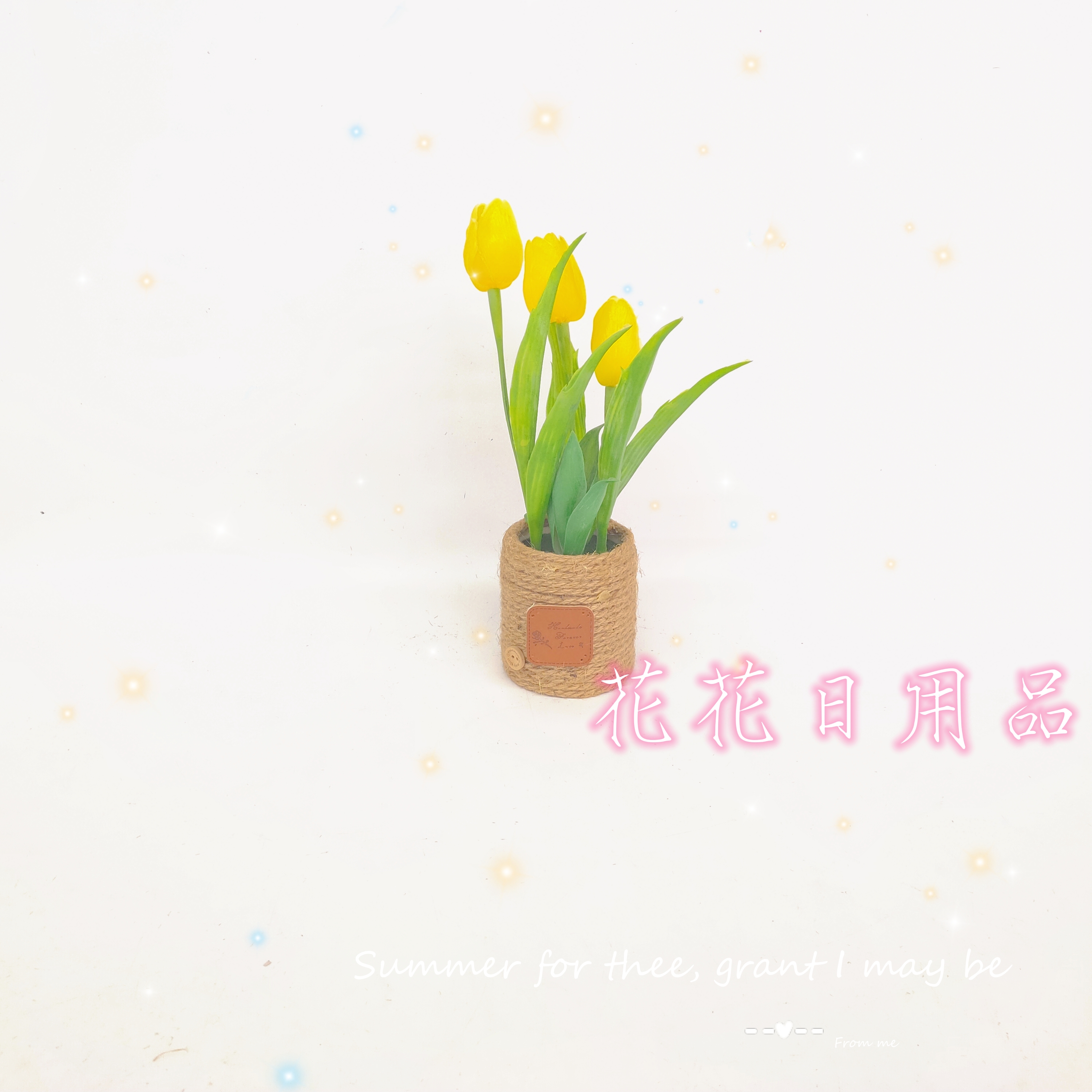 仿真花/假花/盆景产品图