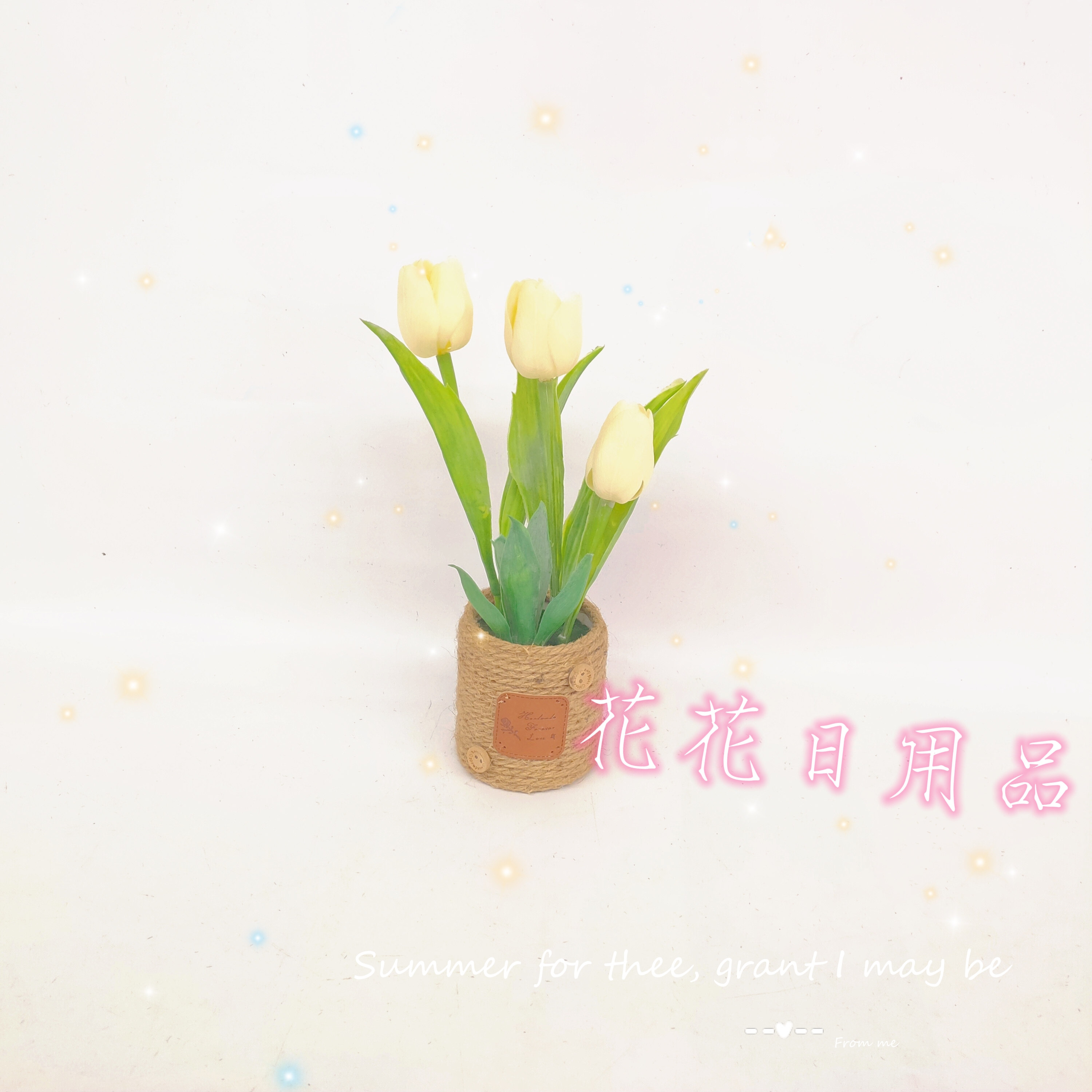 仿真花/假花/盆景白底实物图