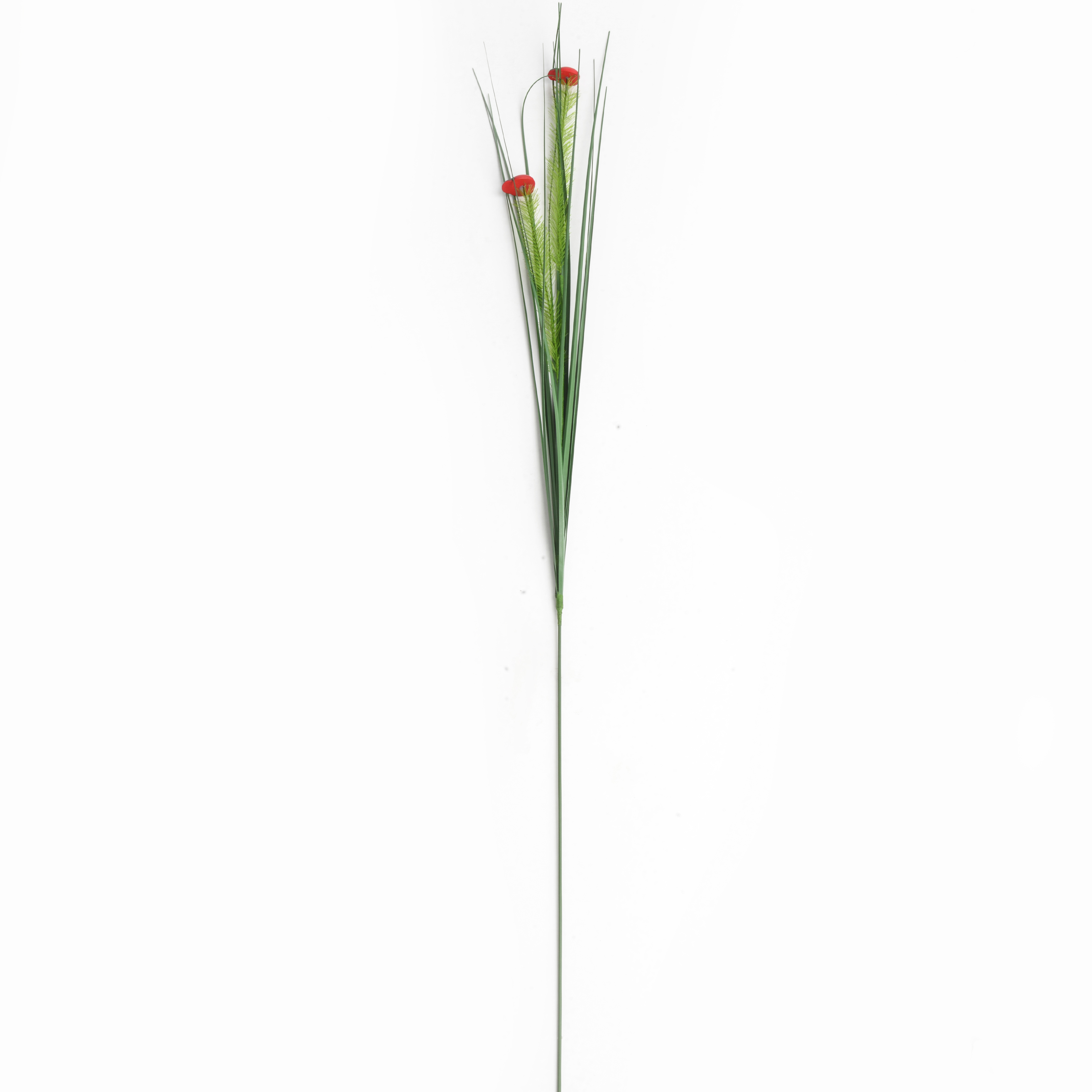 甲虫/花坛花园/装饰工艺品白底实物图