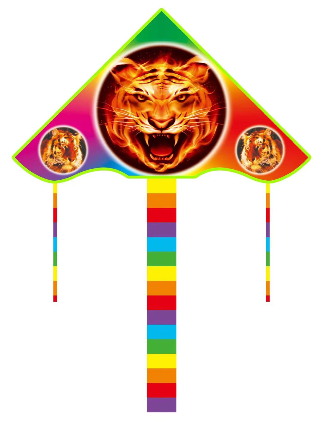 Colorful striped kite details Picture