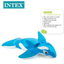 INTEX58523透明蓝鲸坐骑充气动物坐骑水上戏水玩具儿童成人冲浪