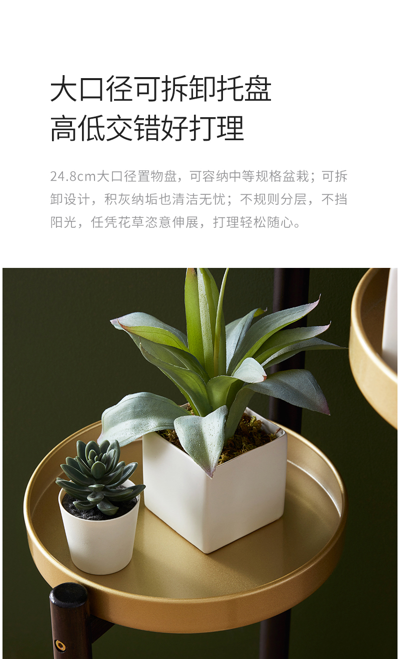 竹家具/花架/植物架产品图