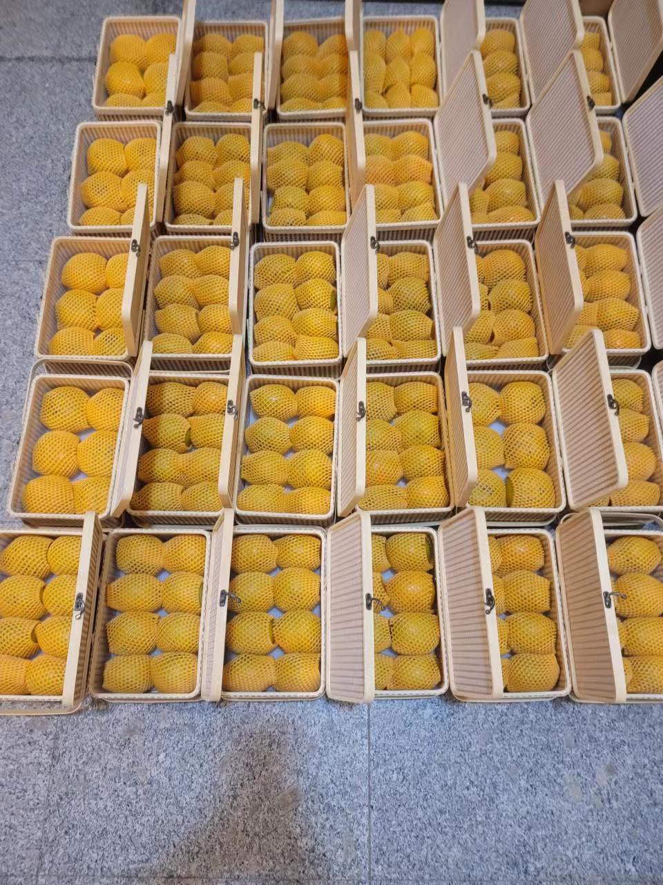 脆柿 太秋产品图