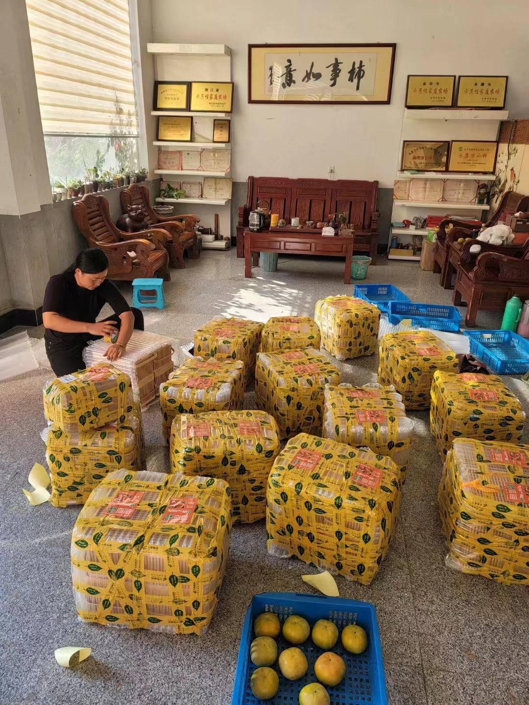 其他分类实物图