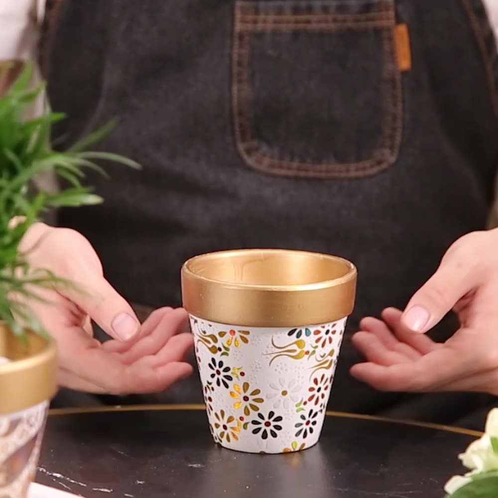 多肉花盆产品图