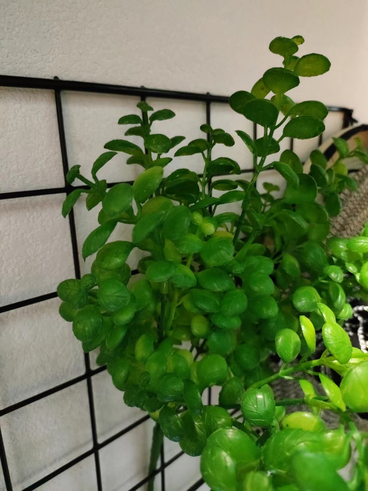 Golden Autumn Flower Shop 104015 Artificial Potted Plants, artificial flowers, bonsai, Green plants, potted plant ornaments, multi-color artificial succulents, small bonsai combination ornaments, living room and dining room table decoration items, Festival gifts, roses, tulips, 57 details Picture