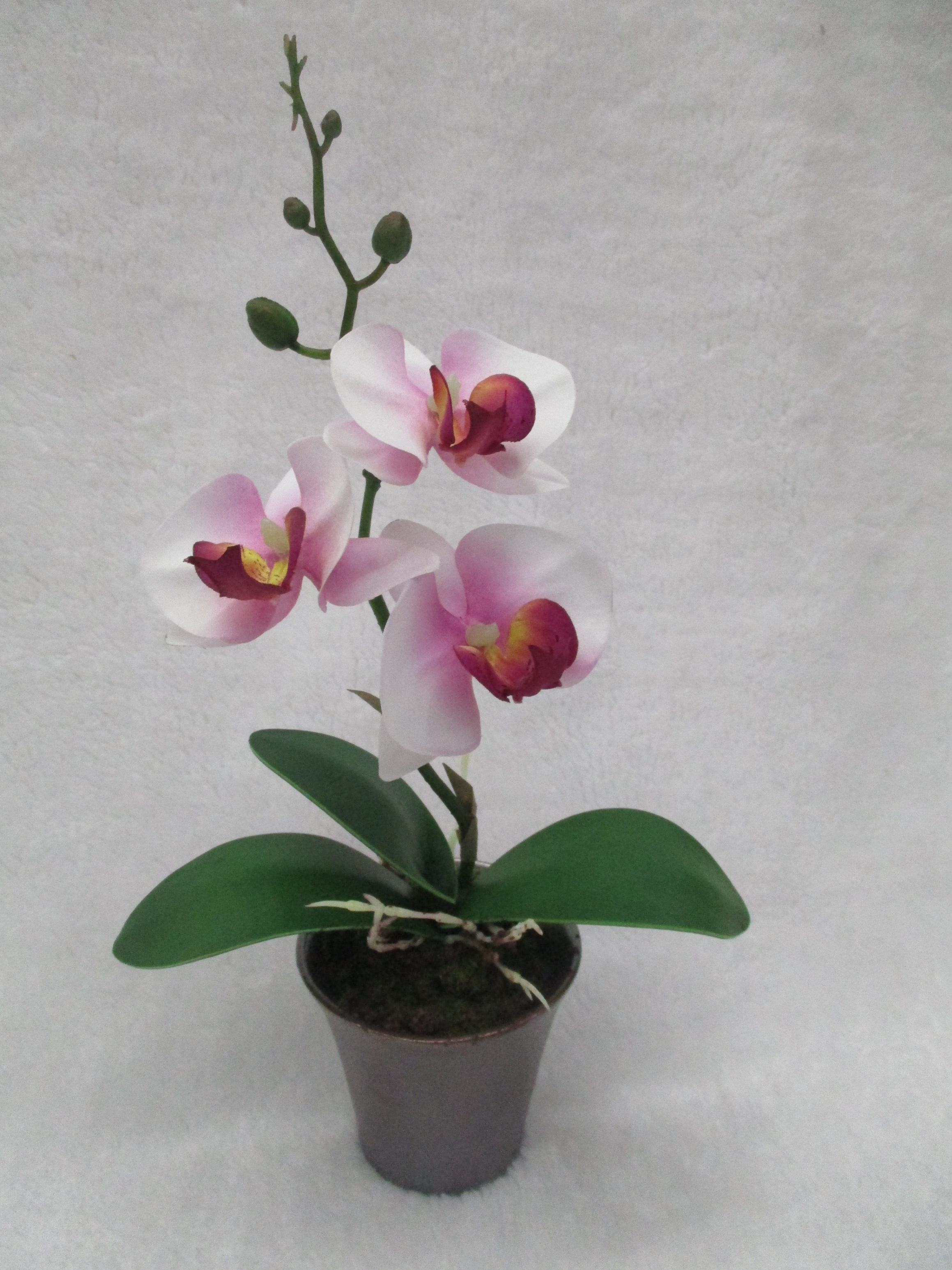 Artificial flower bonsai 10# High-end indoor artificial orchid bonsai for home decoration details Picture
