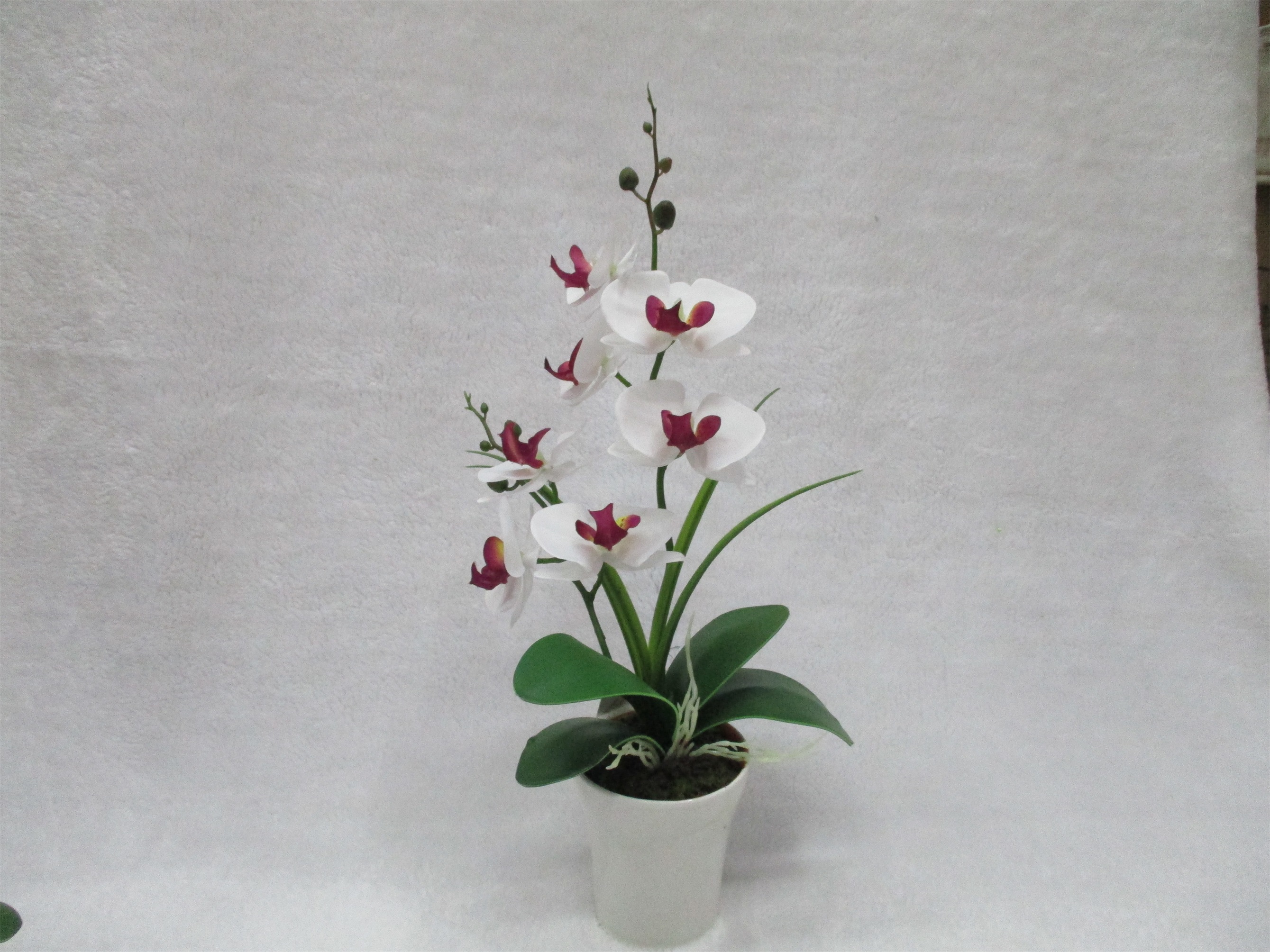 S18123-016 High-end artificial flower home beauty display rose potted plastic flower Application Scenario