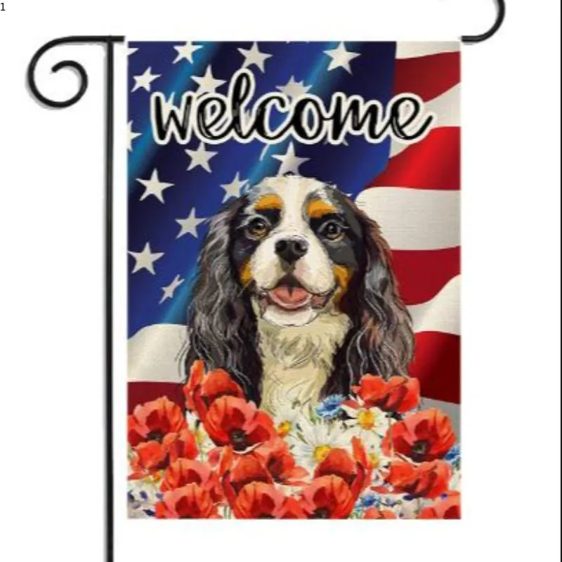 其他分类实物图