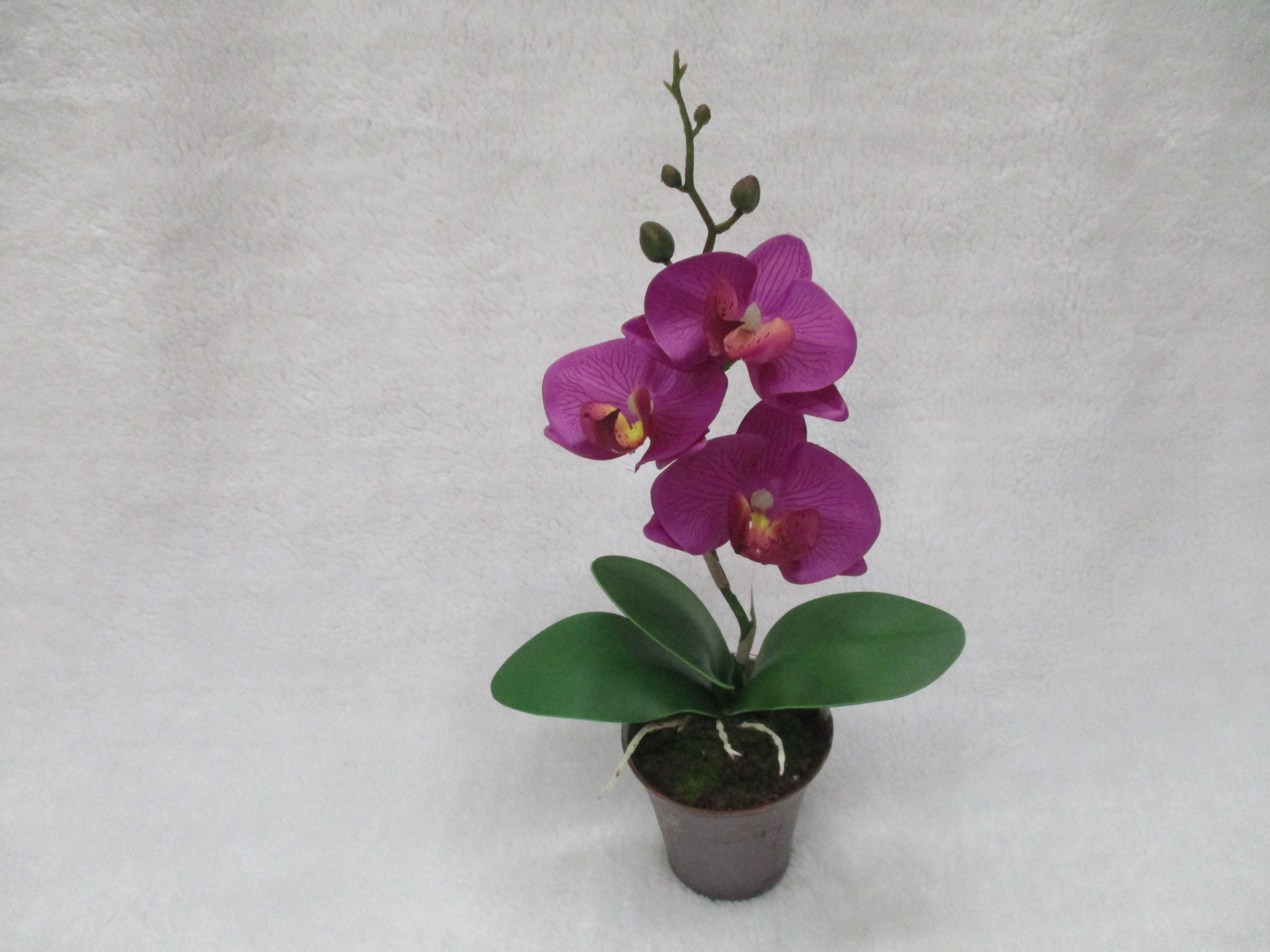 Artificial flower bonsai 10# High-end indoor artificial orchid bonsai for home decoration Specification image