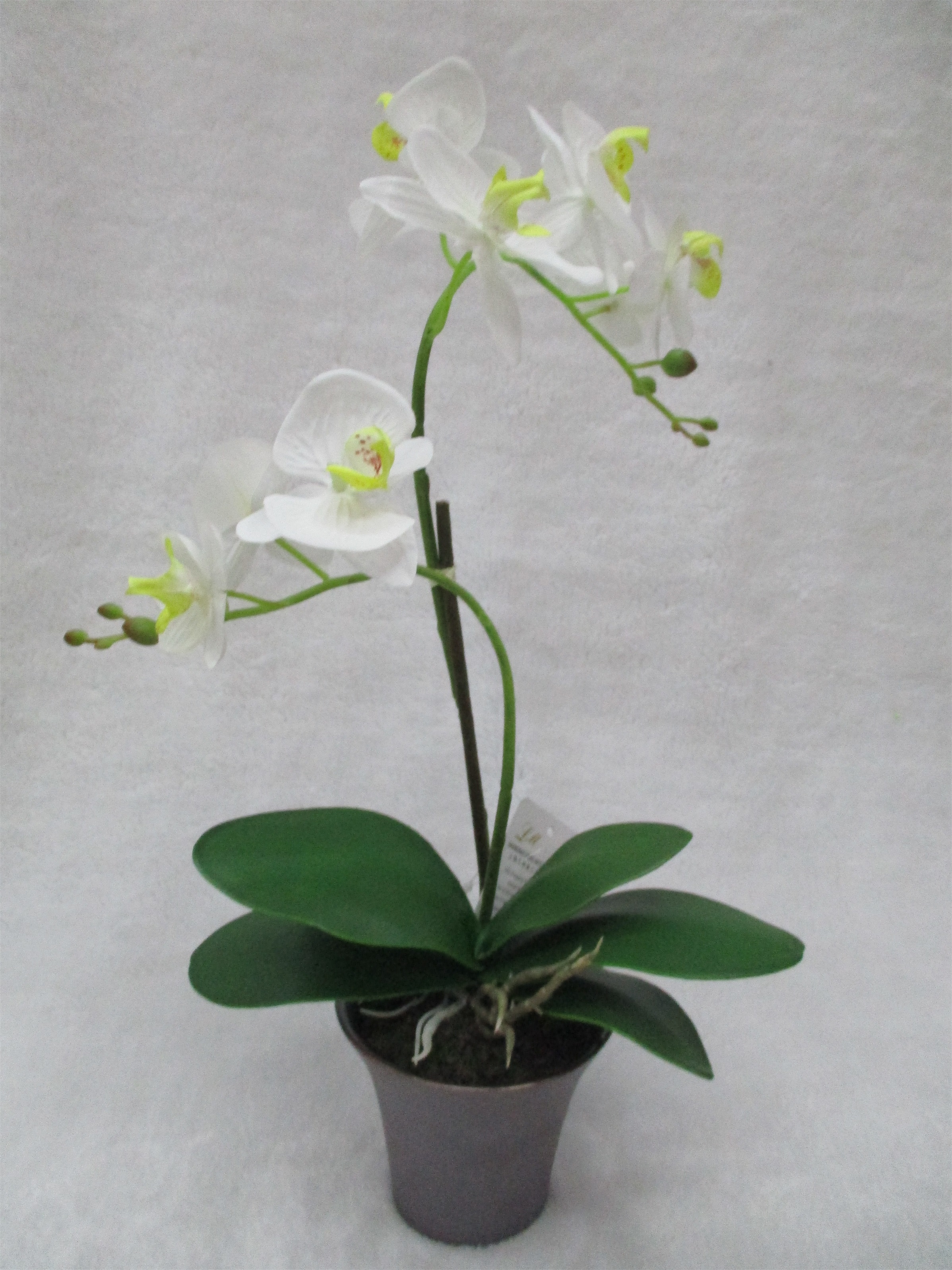 Artificial flower Bonsai 11# Home indoor artificial bonsai Artificial Flower Orchid details Picture