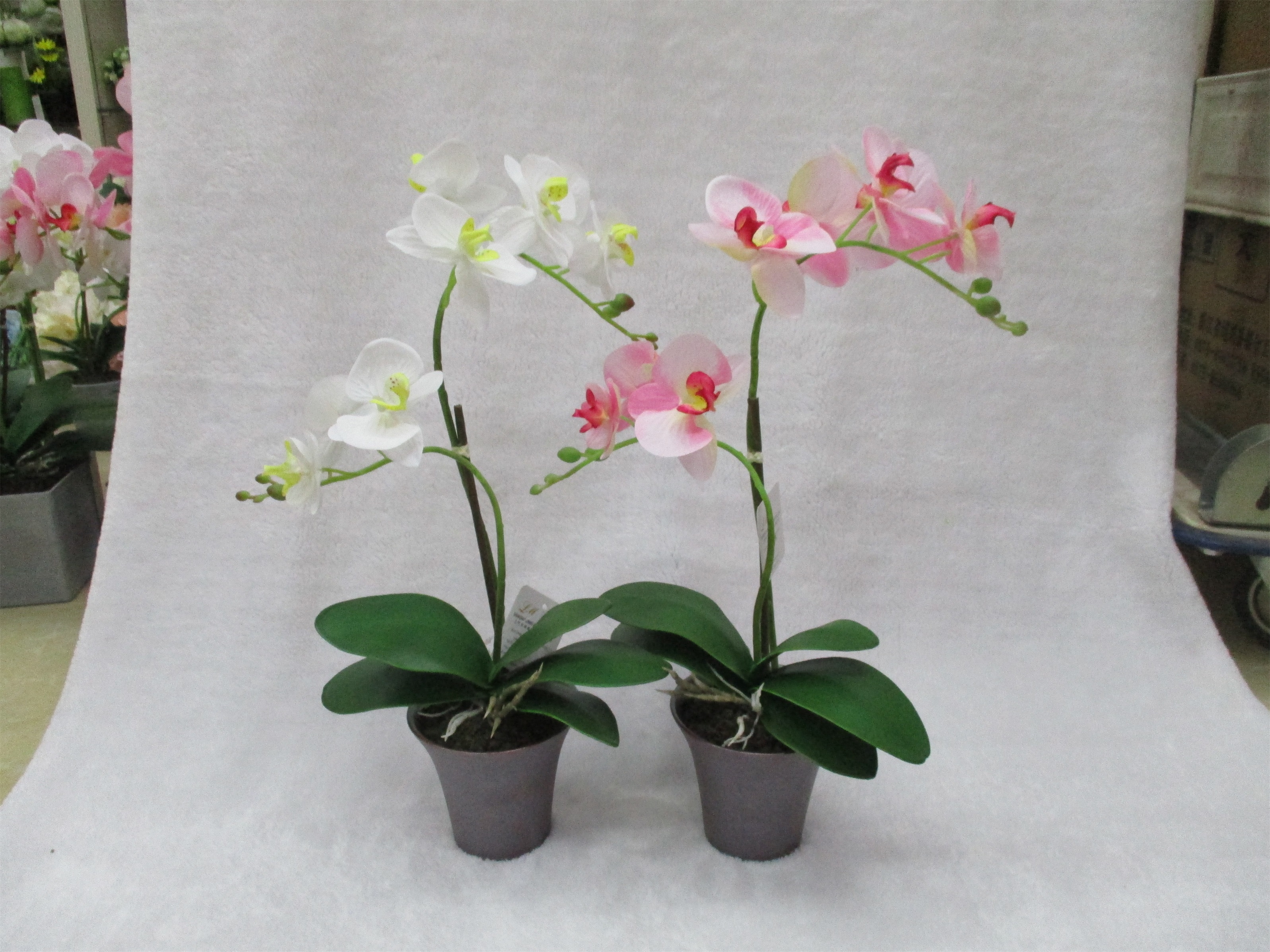 Artificial flower Bonsai 11# Home indoor artificial bonsai Artificial Flower Orchid Application Scenario