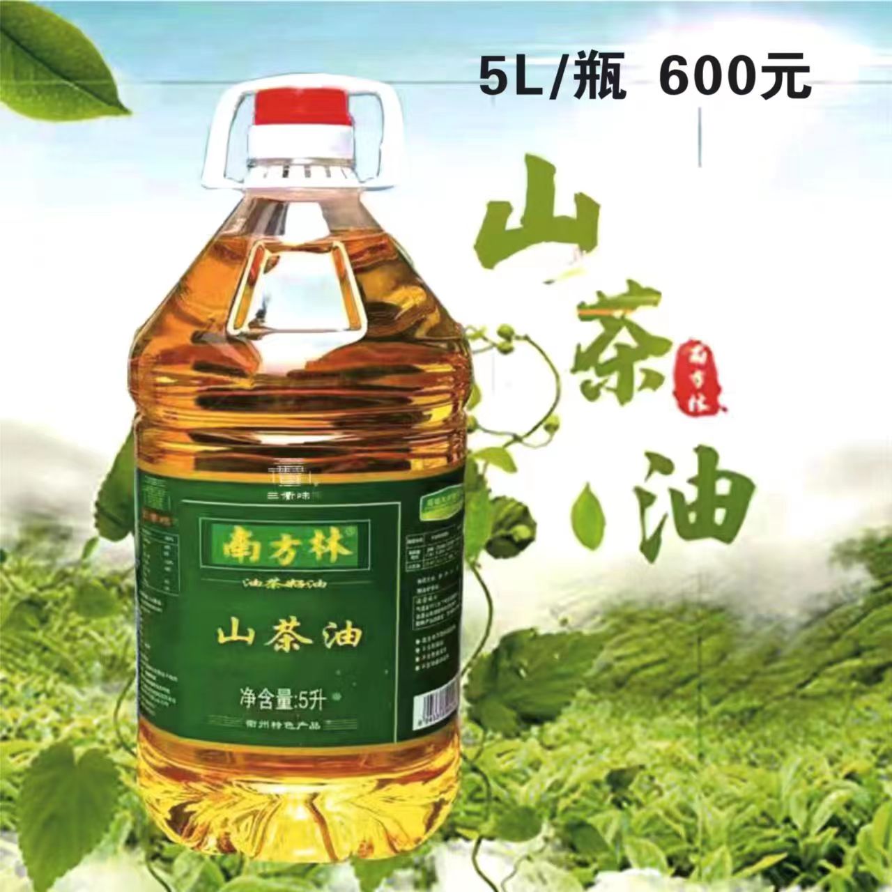 南方林山茶油5L/瓶