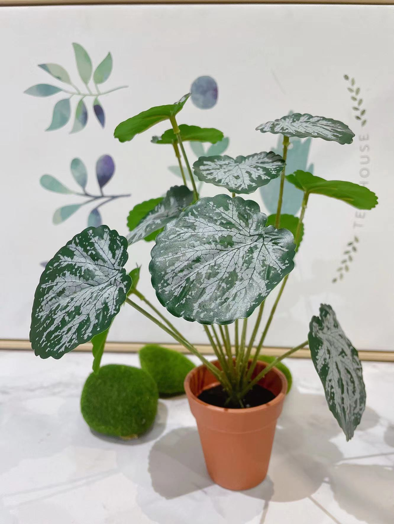仿真植物草莓叶植物墙绿植造景工程客厅家具装饰品家具摆设