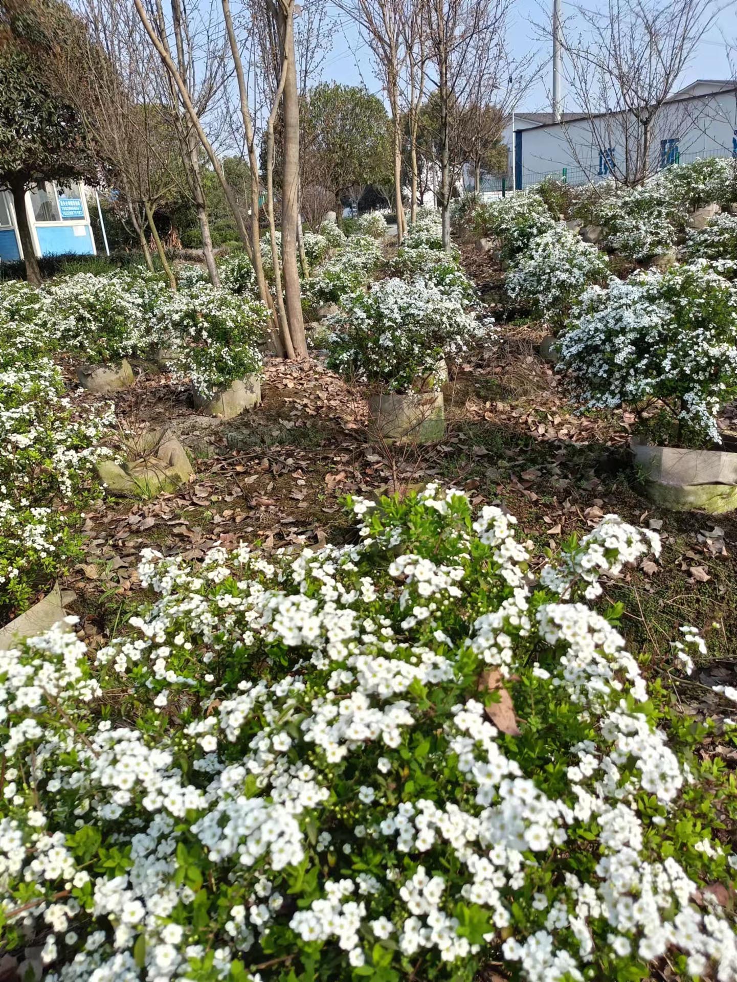 其他分类实物图