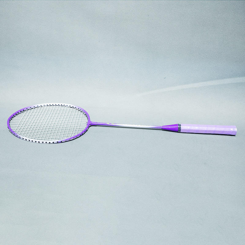 Adult iron alloy integrated racket