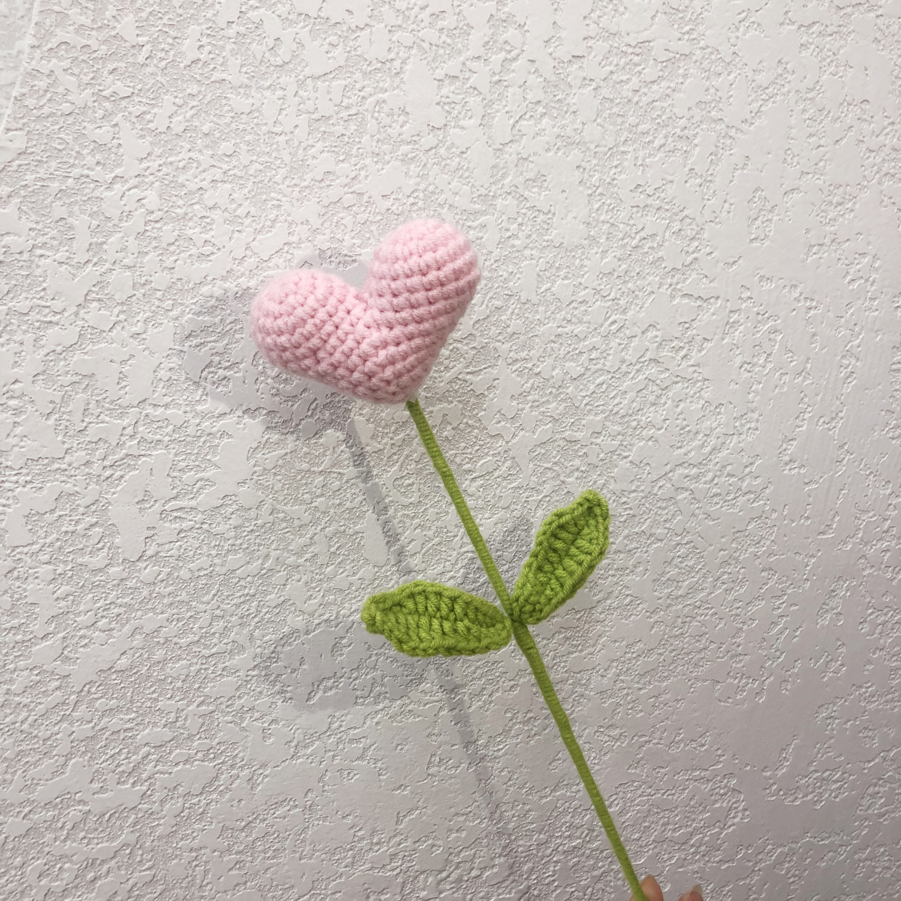 永生花实物图