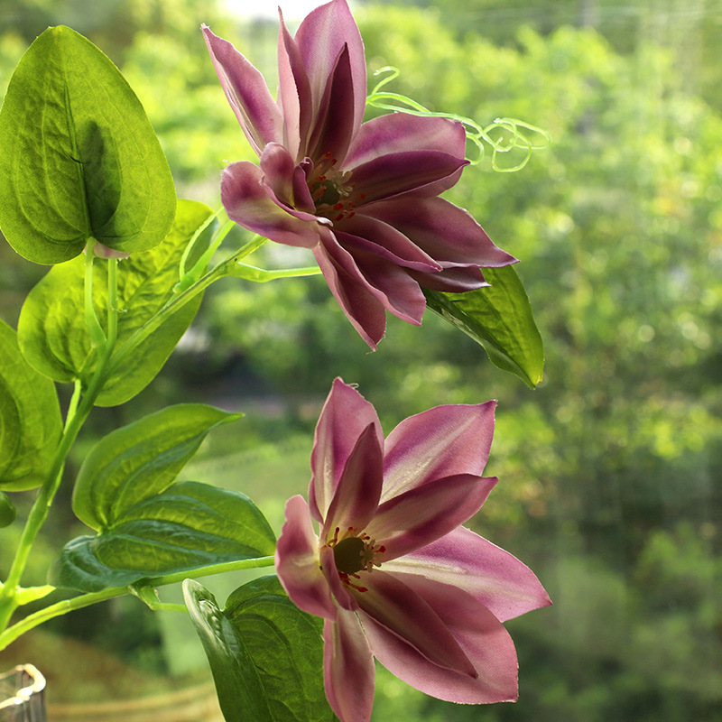 仿真铁线莲/手感植物/家居装饰假花细节图