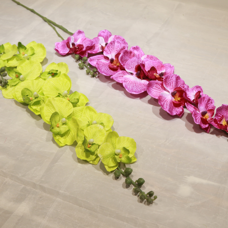 插花双色蝴蝶兰 小蝴蝶兰