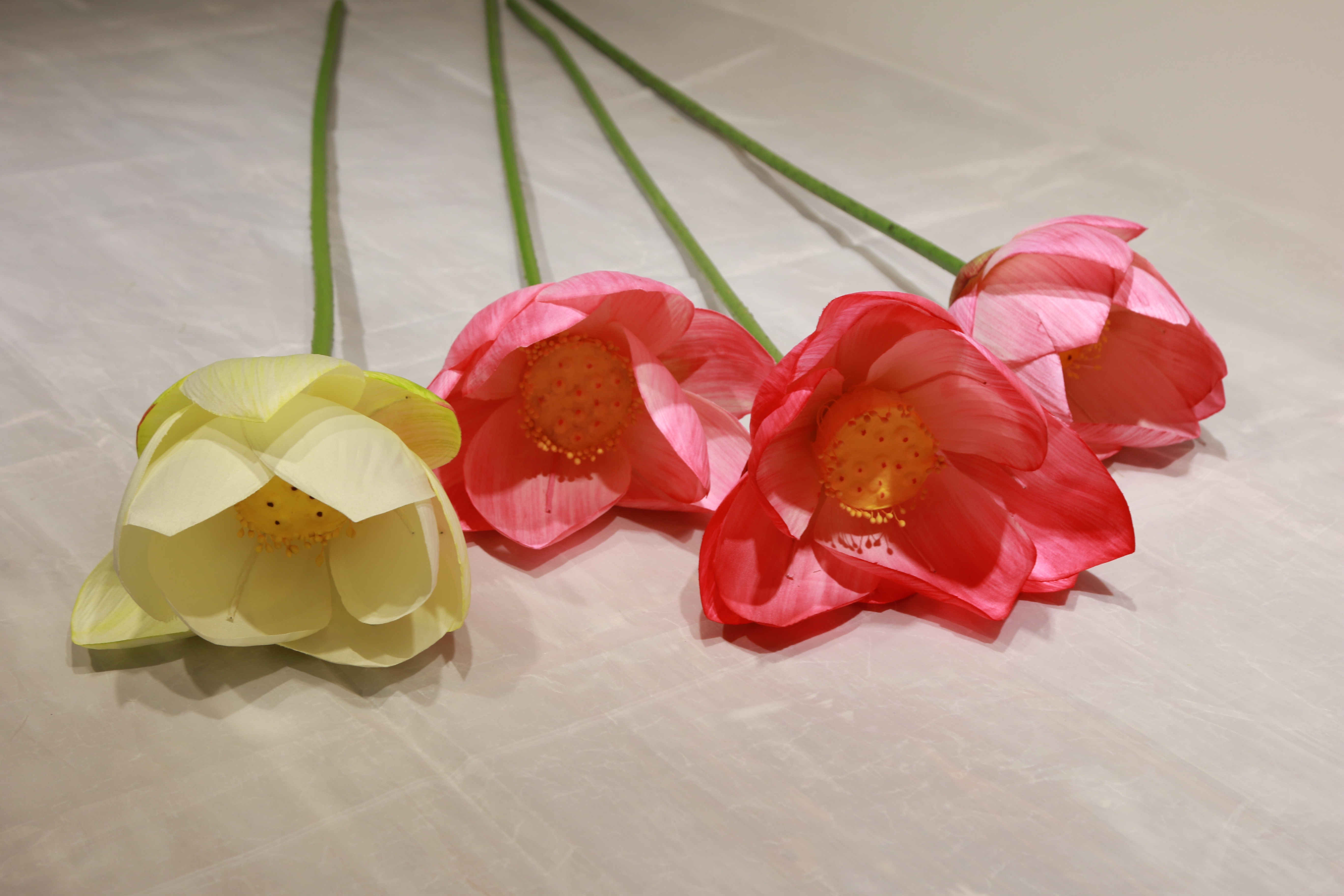 仿真花/小荷花白底实物图