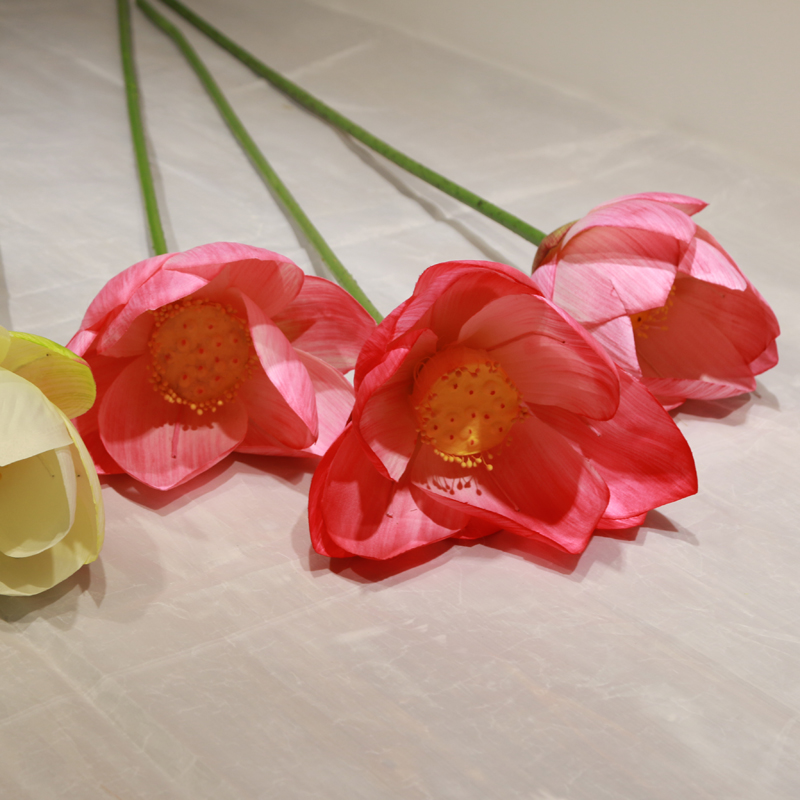 仿真花瓣实物图