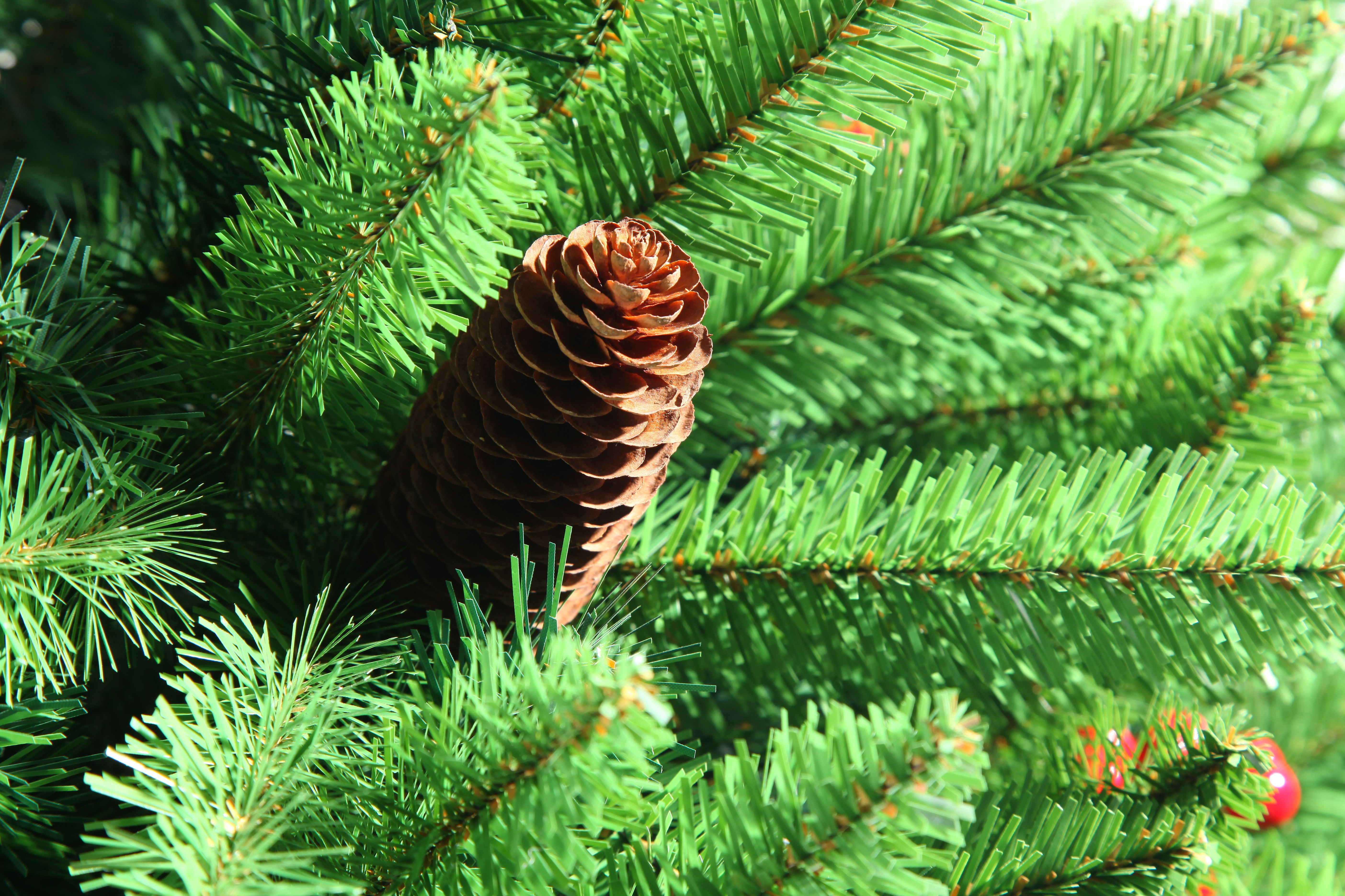 圣诞装饰/圣诞/圣诞树细节图