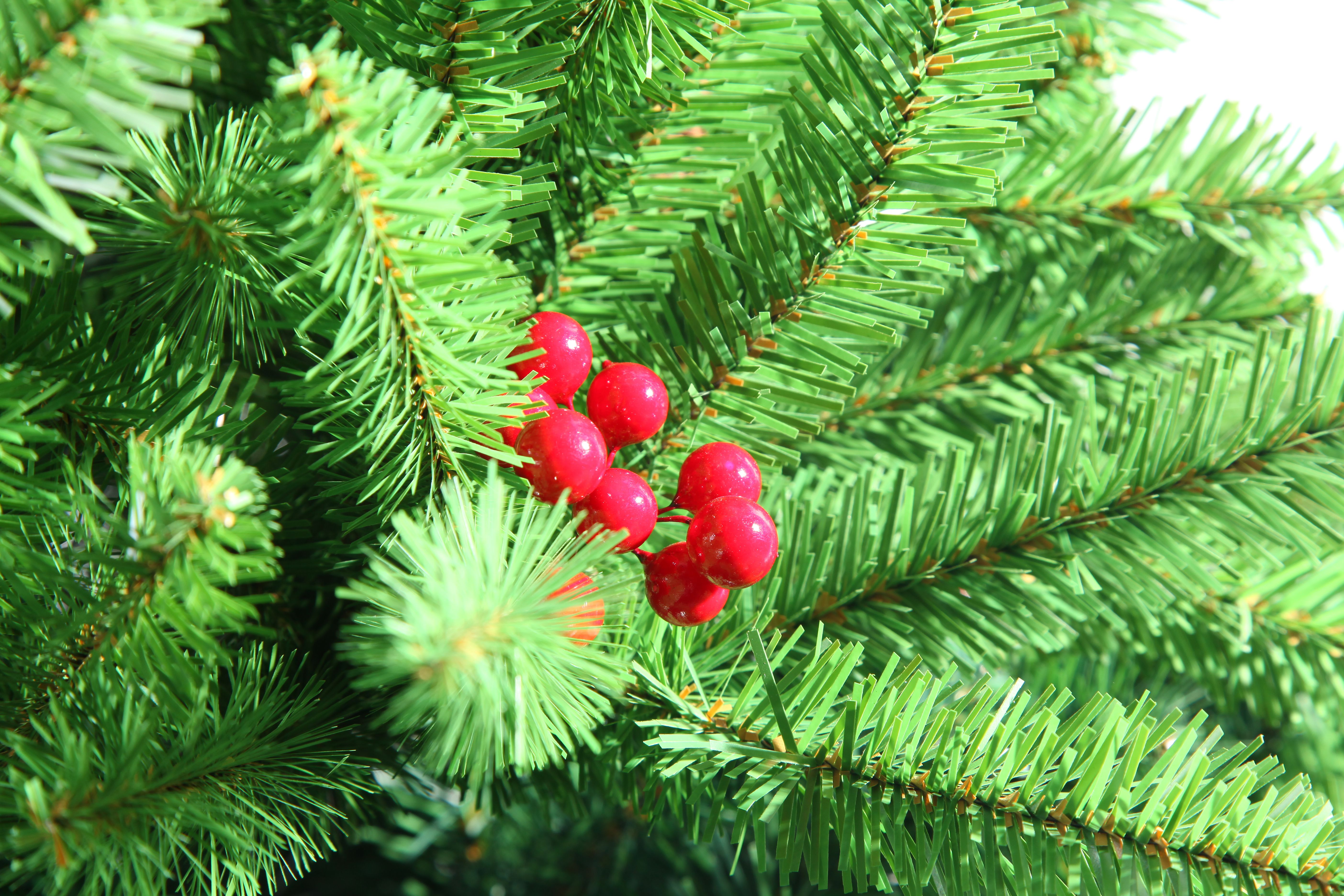 圣诞装饰/圣诞/圣诞树产品图