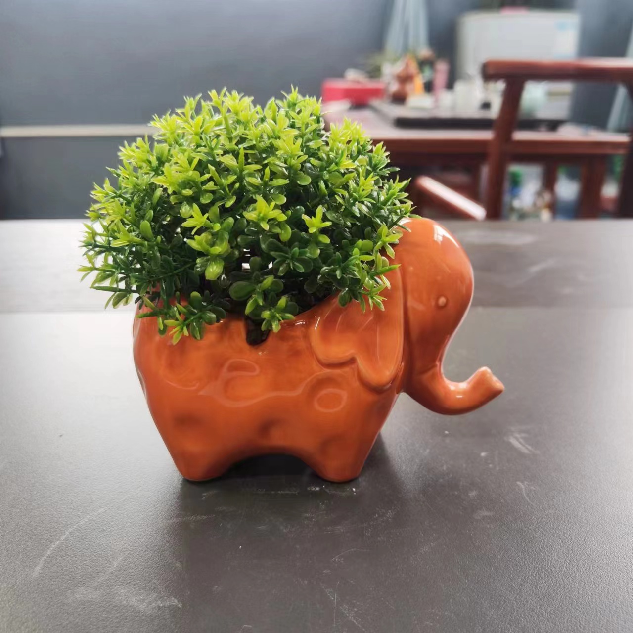 Cute small flowerpots of ceramic animals, succulents and plants details Picture