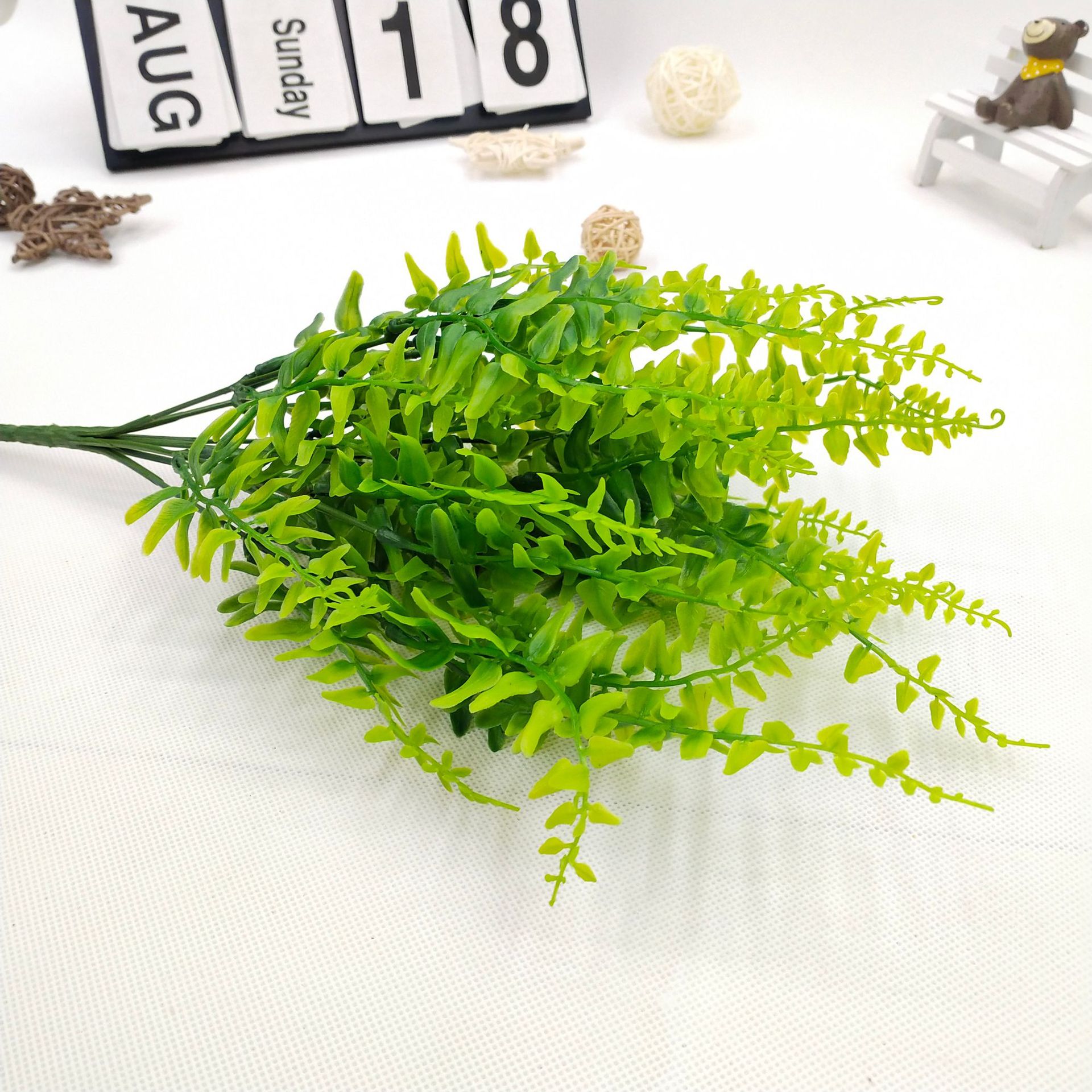 蜈蚣草