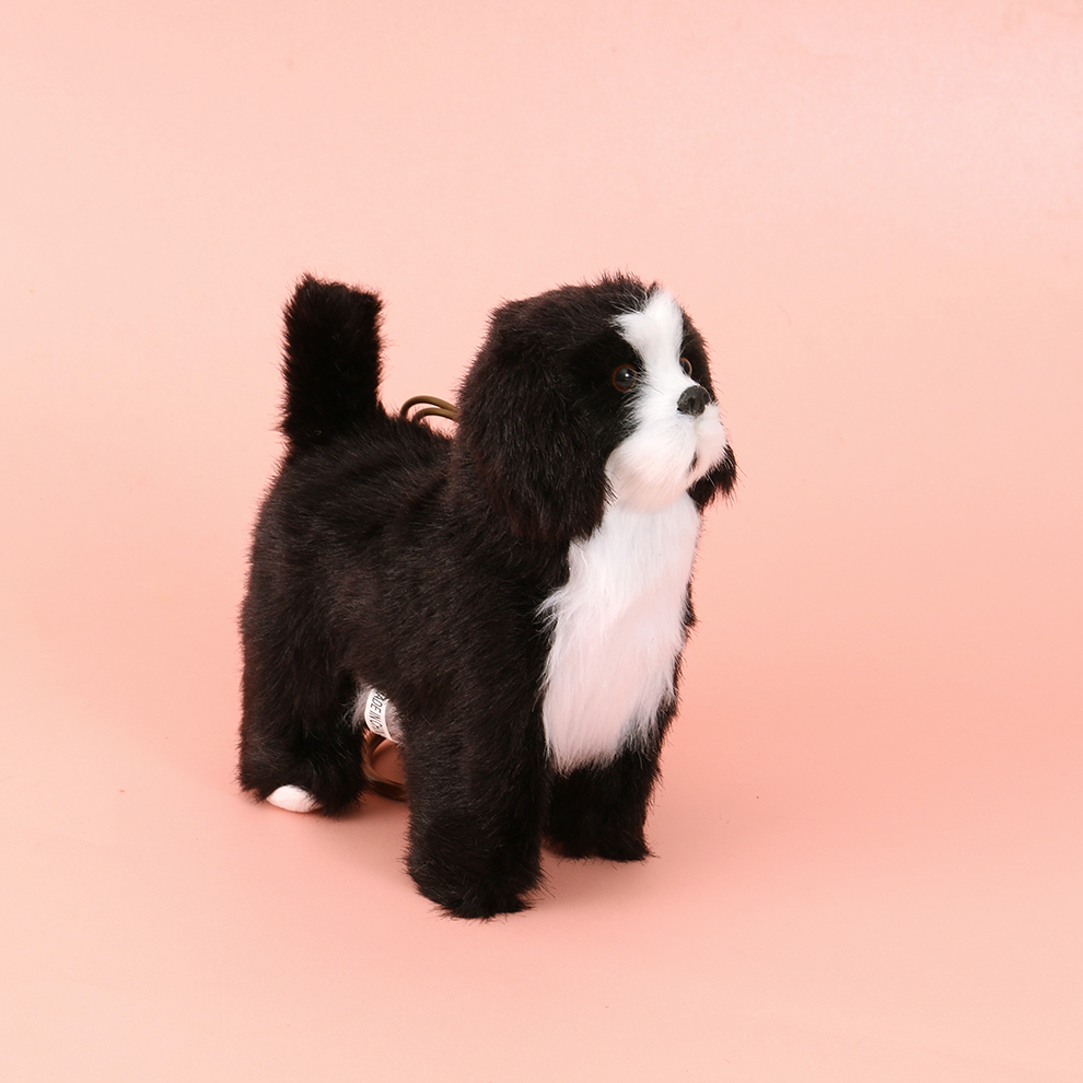 其它电动玩具实物图