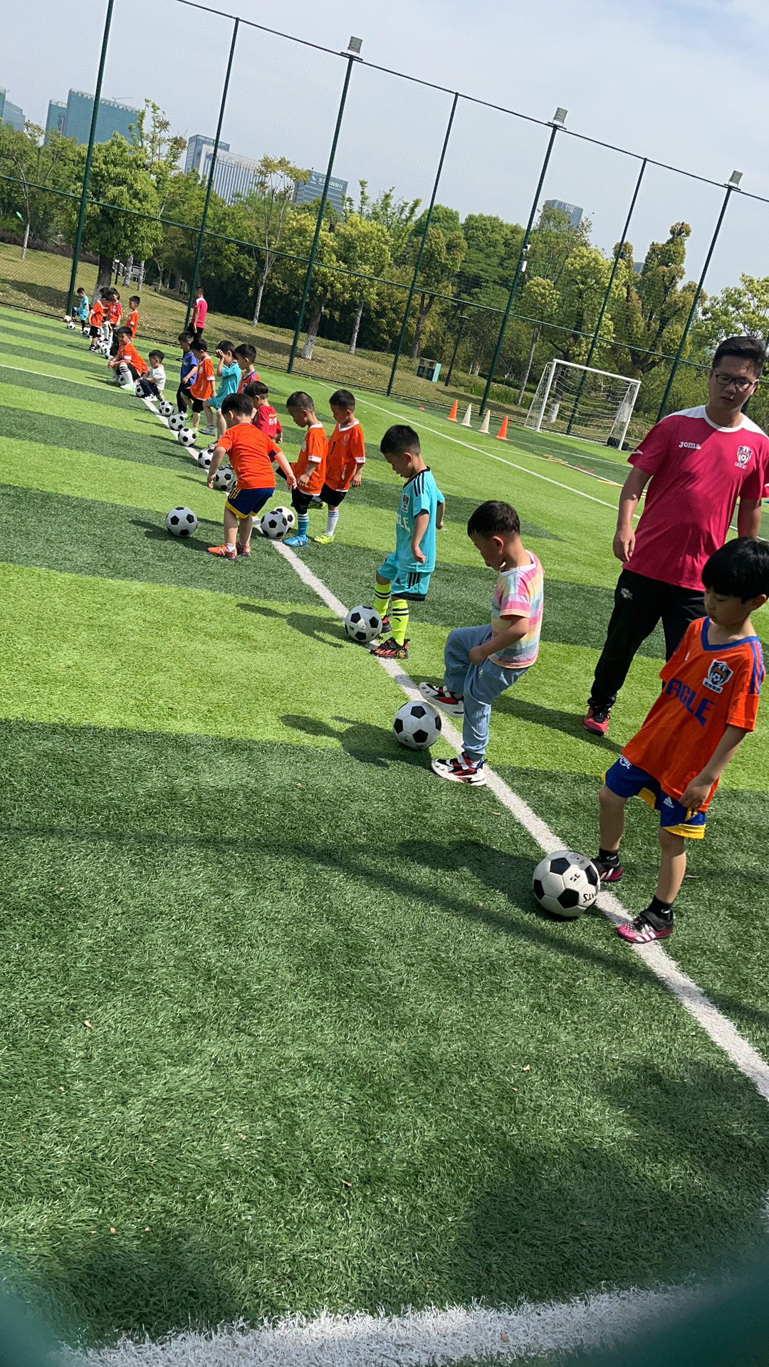 人造仿真草坪/学校运动草坪/仿真假草坪白底实物图