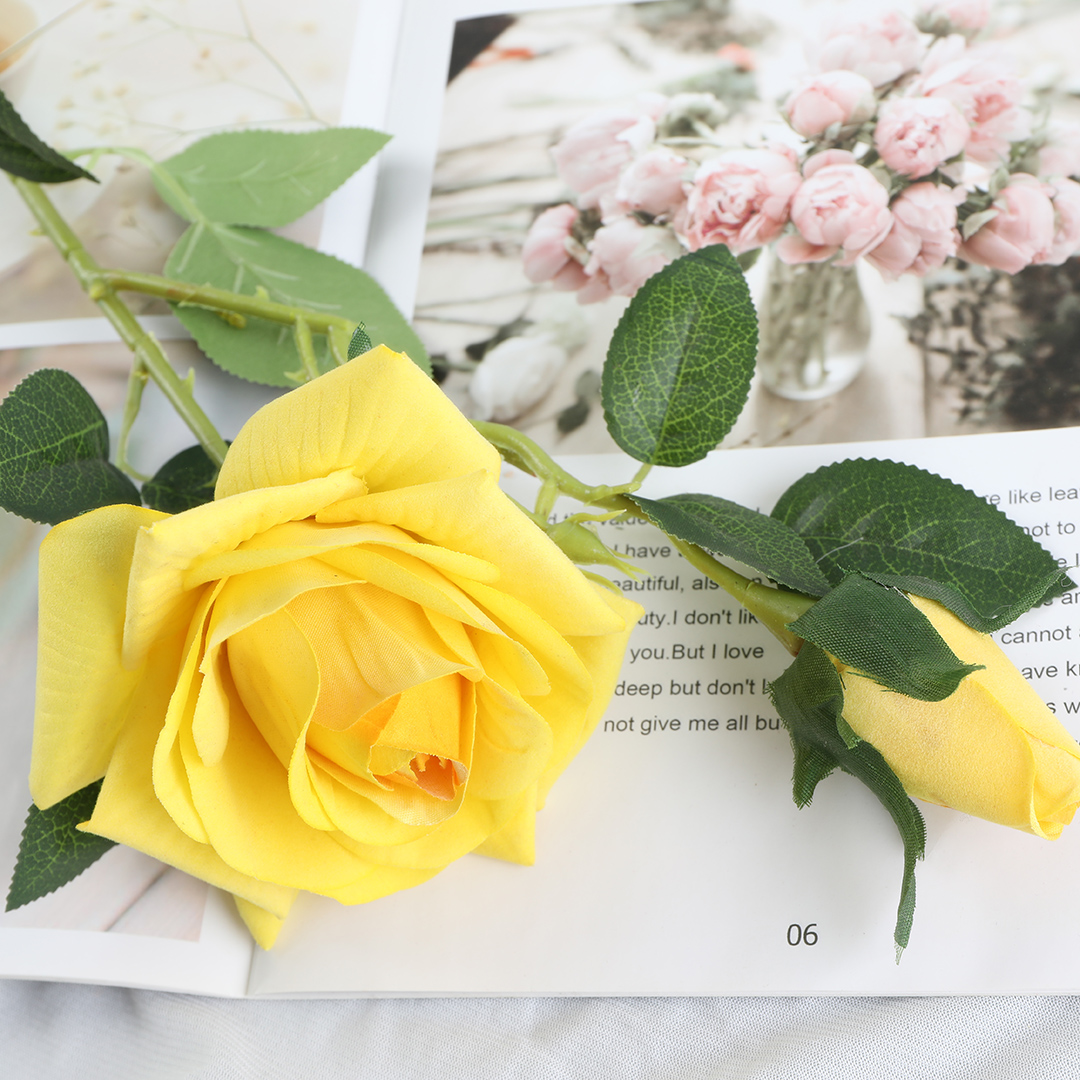 Wholesale fresh roses for Valentine's Day gifts Application Scenario