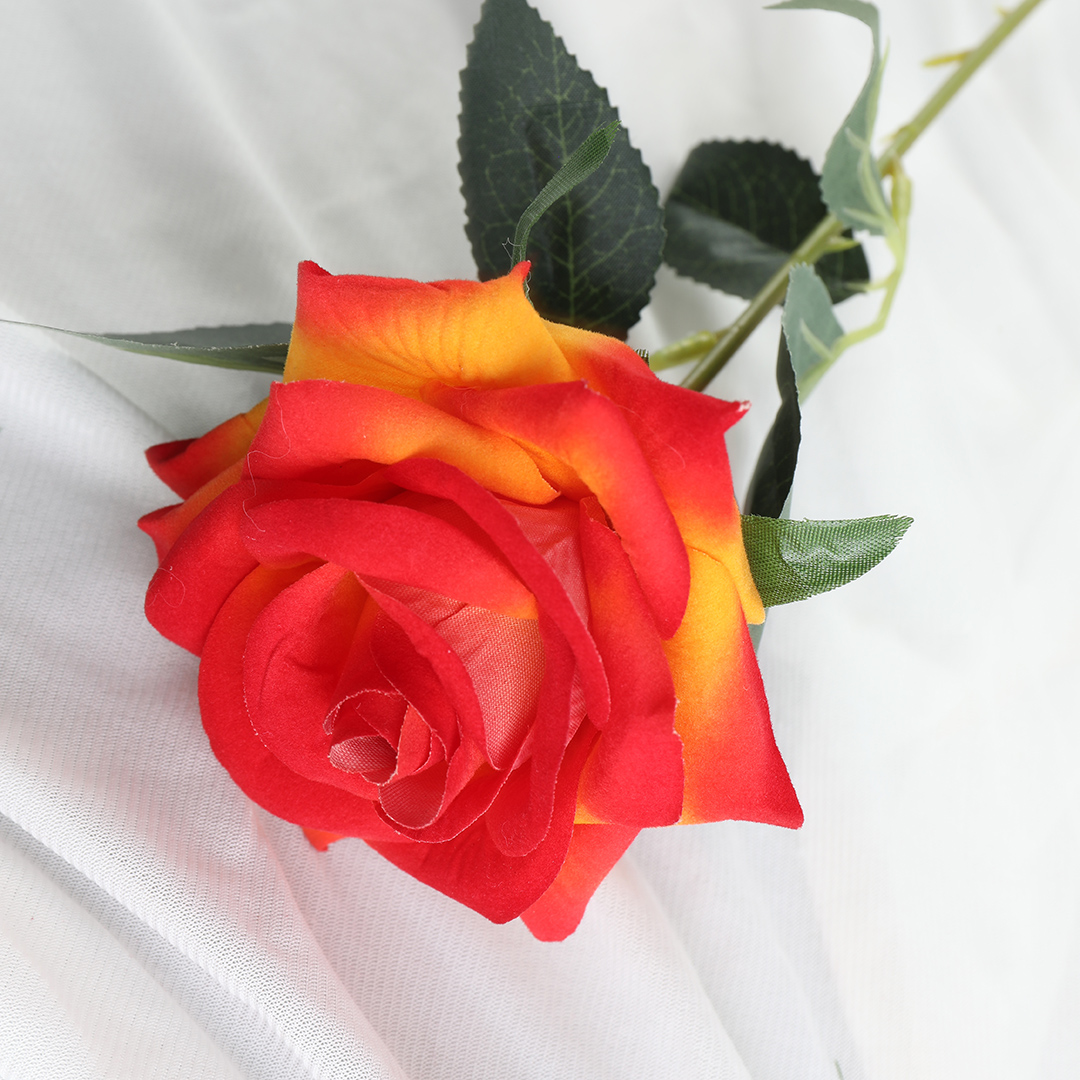 Decorate with artificial swan down flowers in autumn Application Scenario