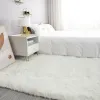 The bed of the bedroom is covered with long-haired and fleece carpet and floor mat in ins. The living room and bedrooms are dirt-resistant. The sofa, coffee table, carpet and floor mat are covered with fleece carpet details Picture