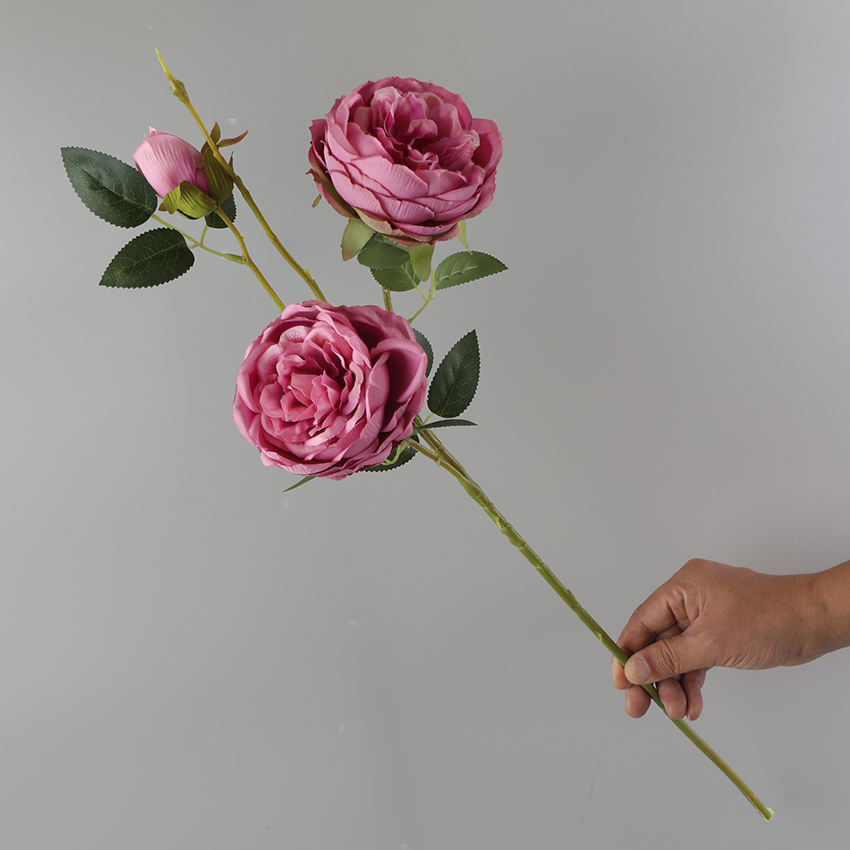 Three single peonies Specification image