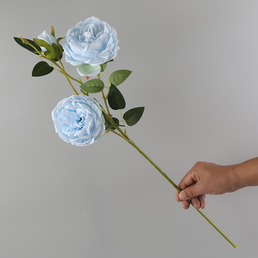 Three single peonies details Picture