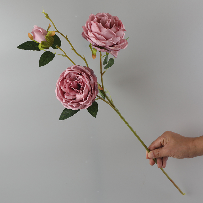 Three single peonies Item Picture